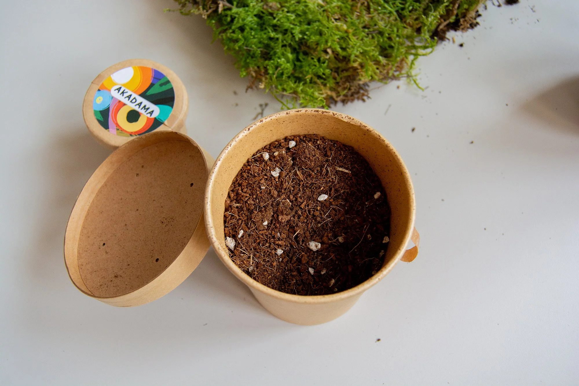 kit kokedama_12_web.jpg