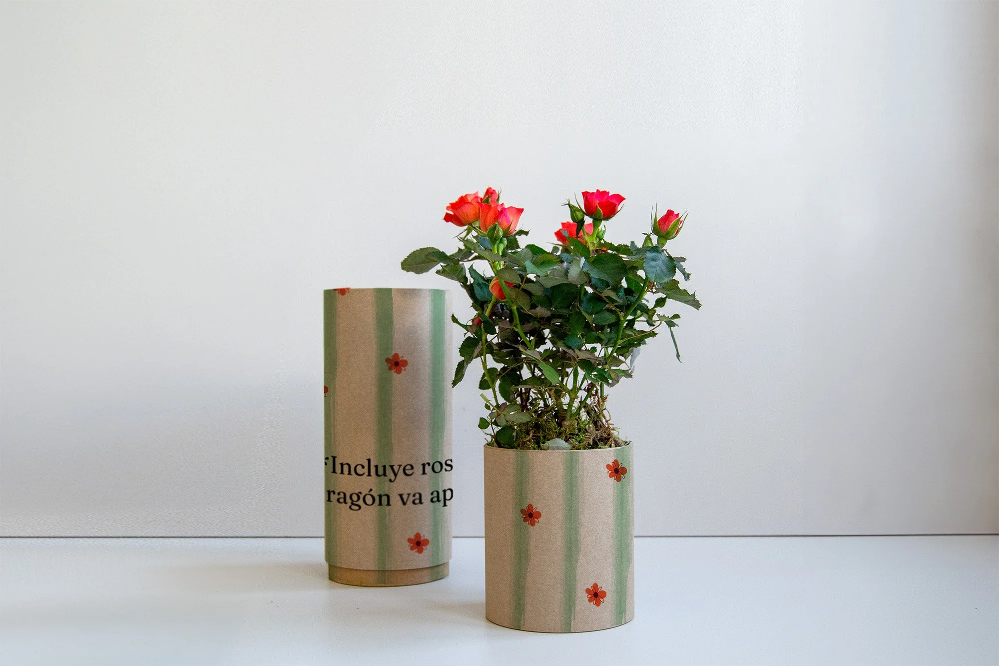 Rosetube_incluye rosa_2026_4_web.jpg