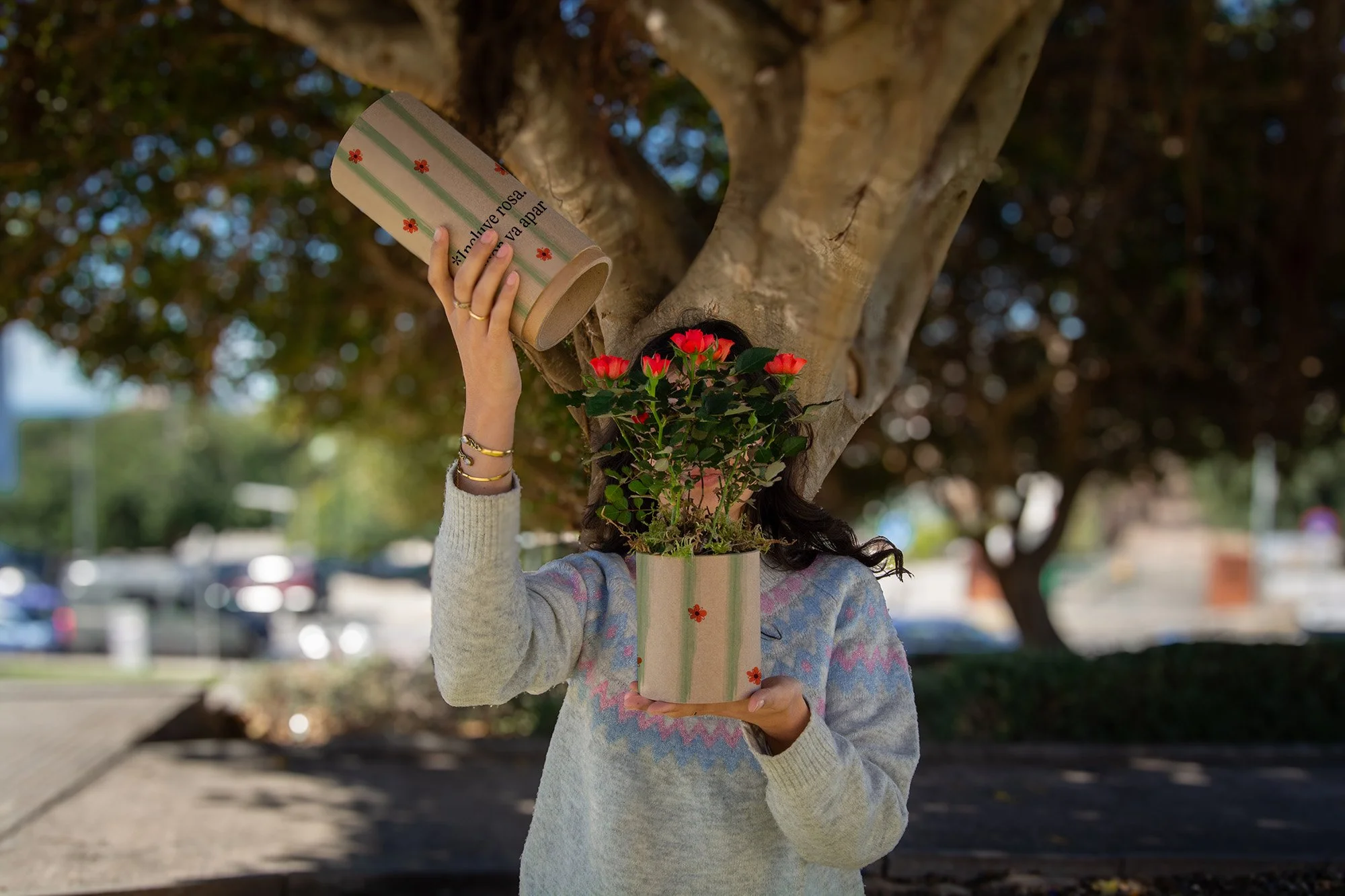 Rosetube Sant Jordi - Incluye rosa, el dragón va aparte