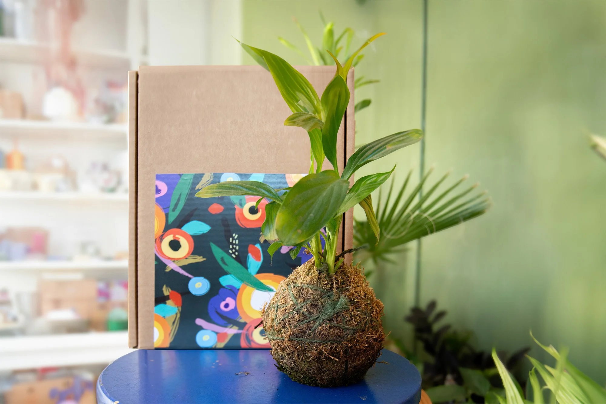 kit kokedama_context_7_web.jpg