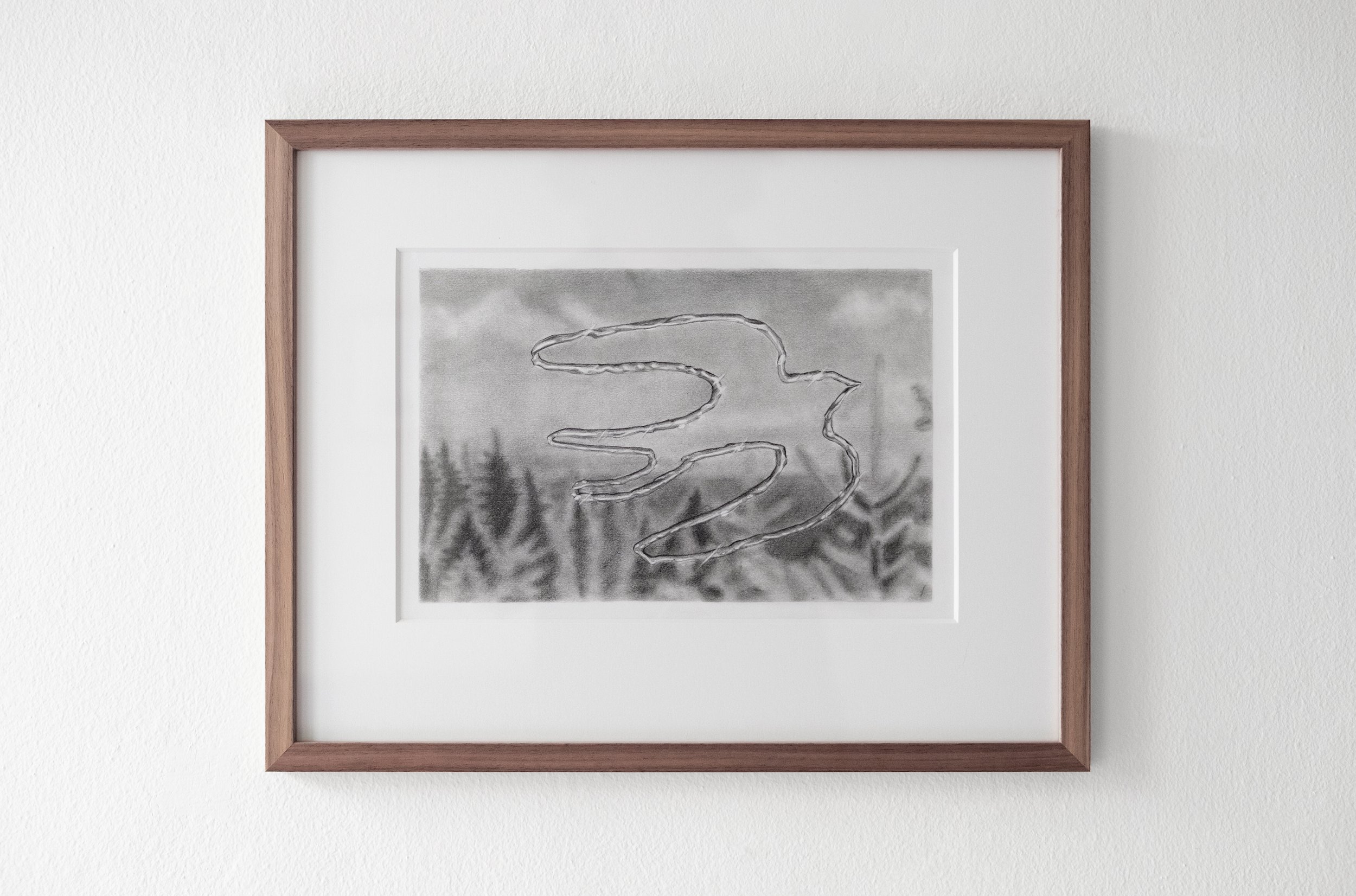Home Ground, graphite on paper