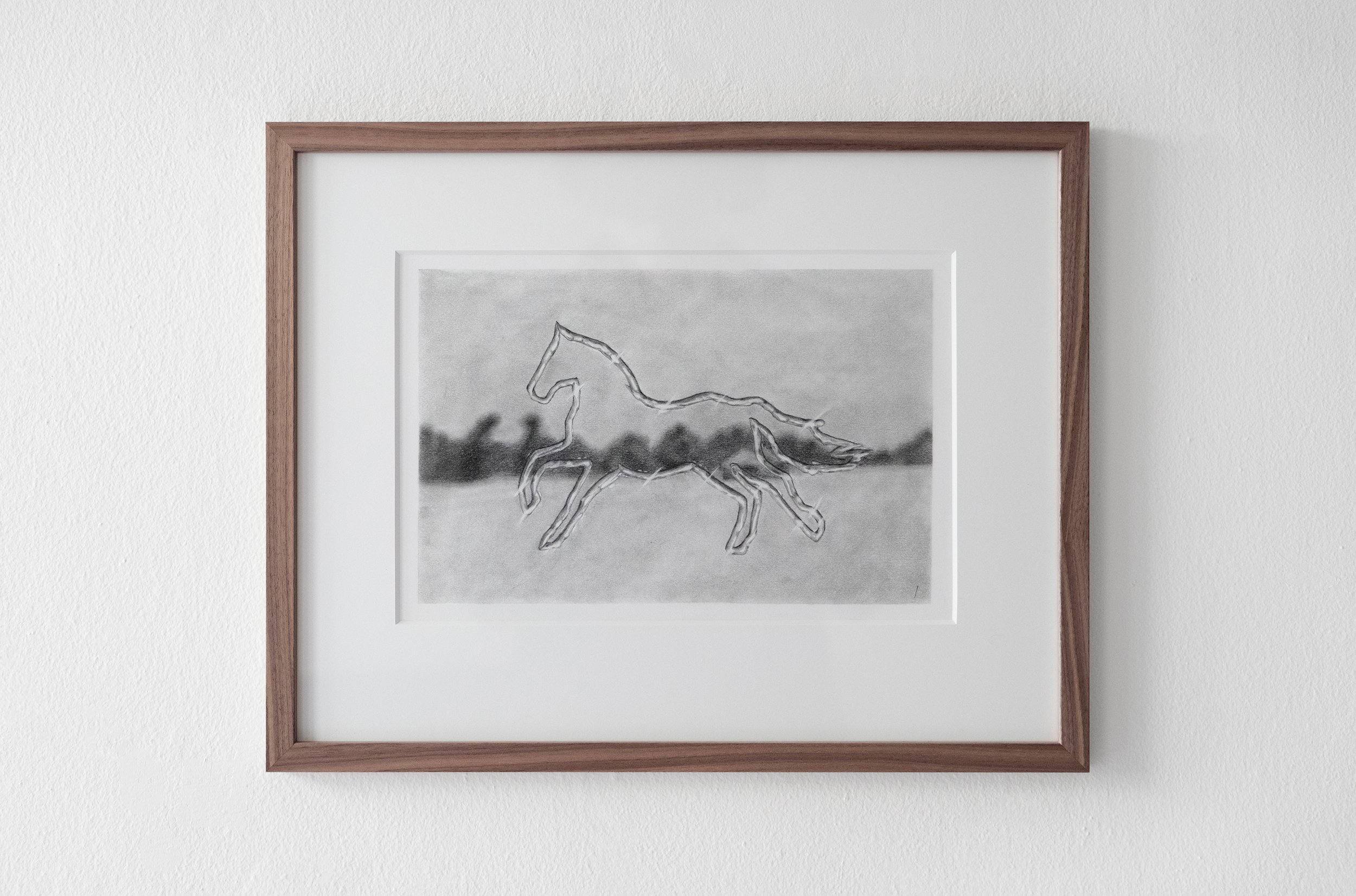 Companion, graphite on paper