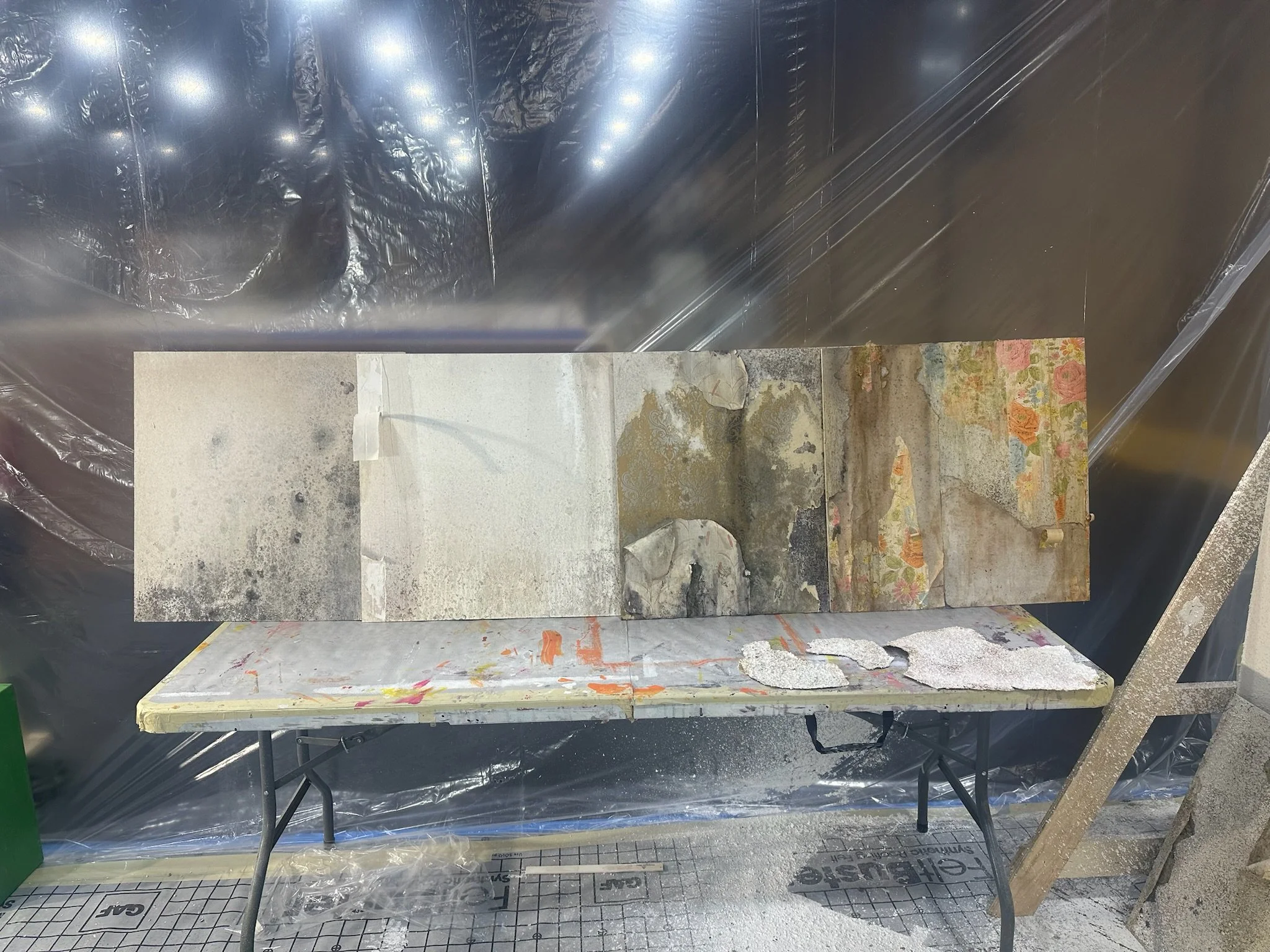 FF6099A1-1081-4628-9091-06E0917D285C.JPG