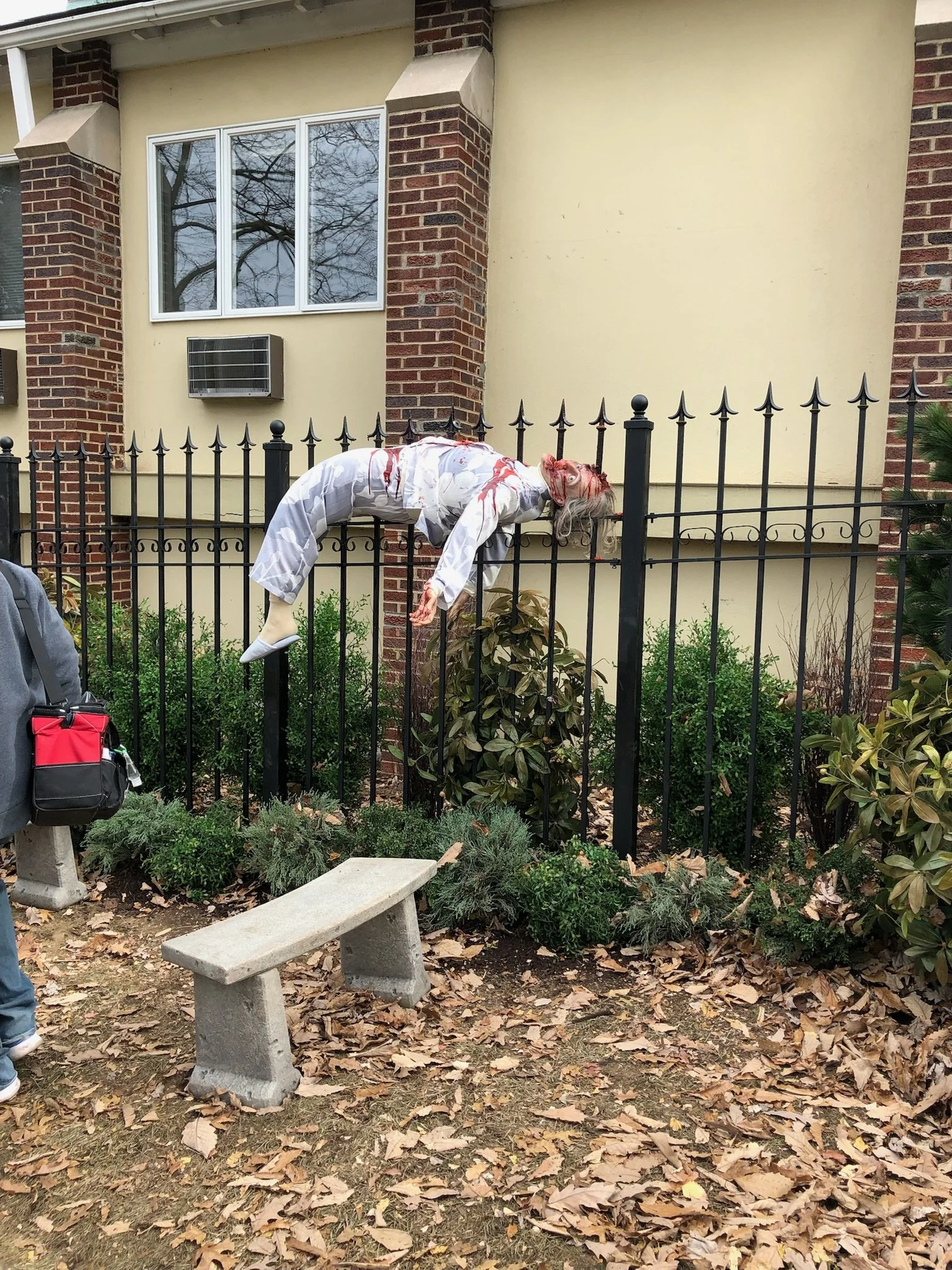 IMG_6892.jpeg