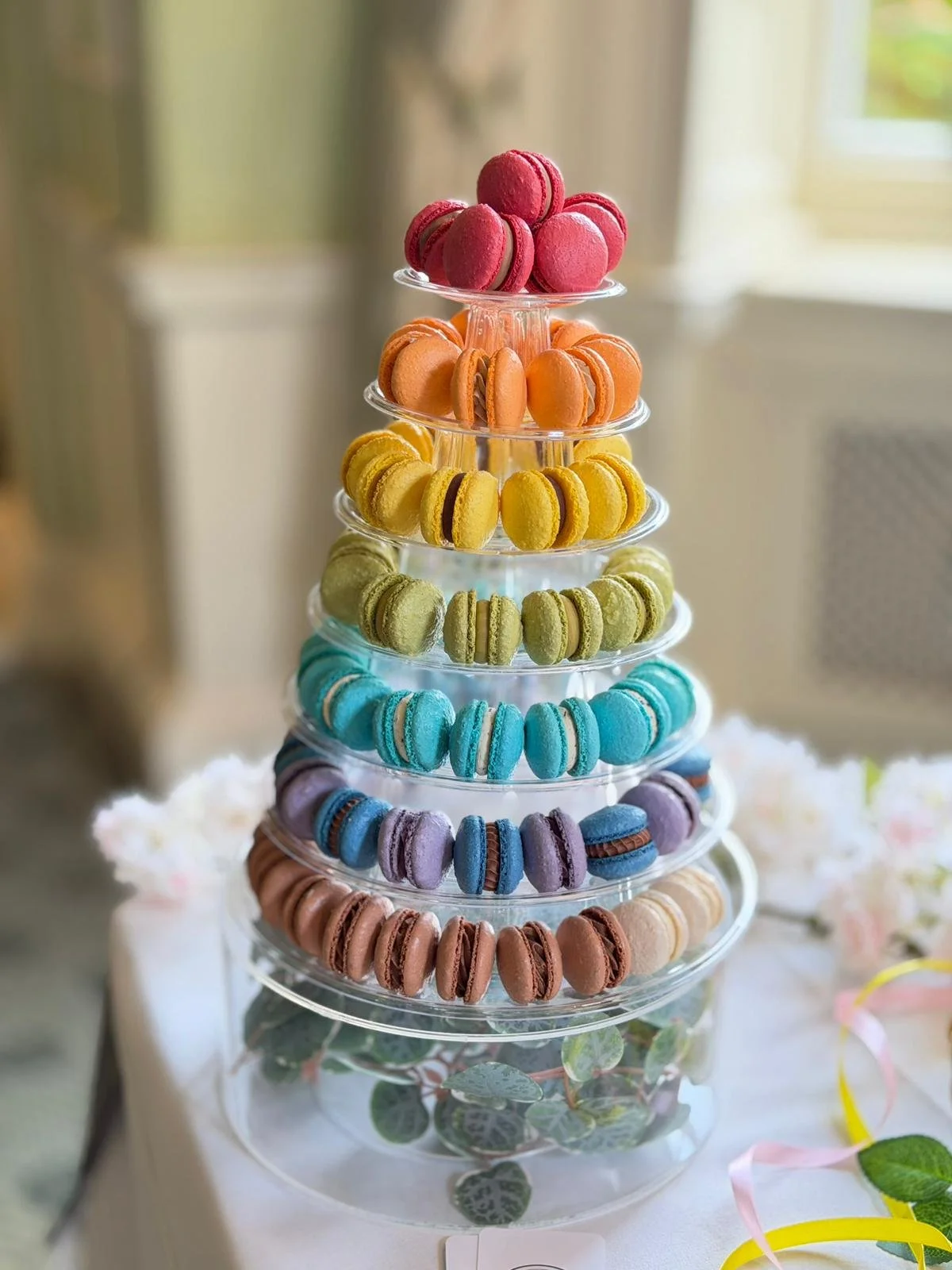 WhatsApp Image 2026-01-28 at 18.41.34 (1).jpeg