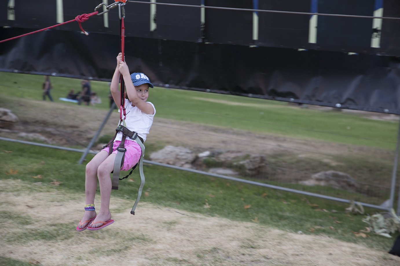 Tamarmeir_zipline2.jpg
