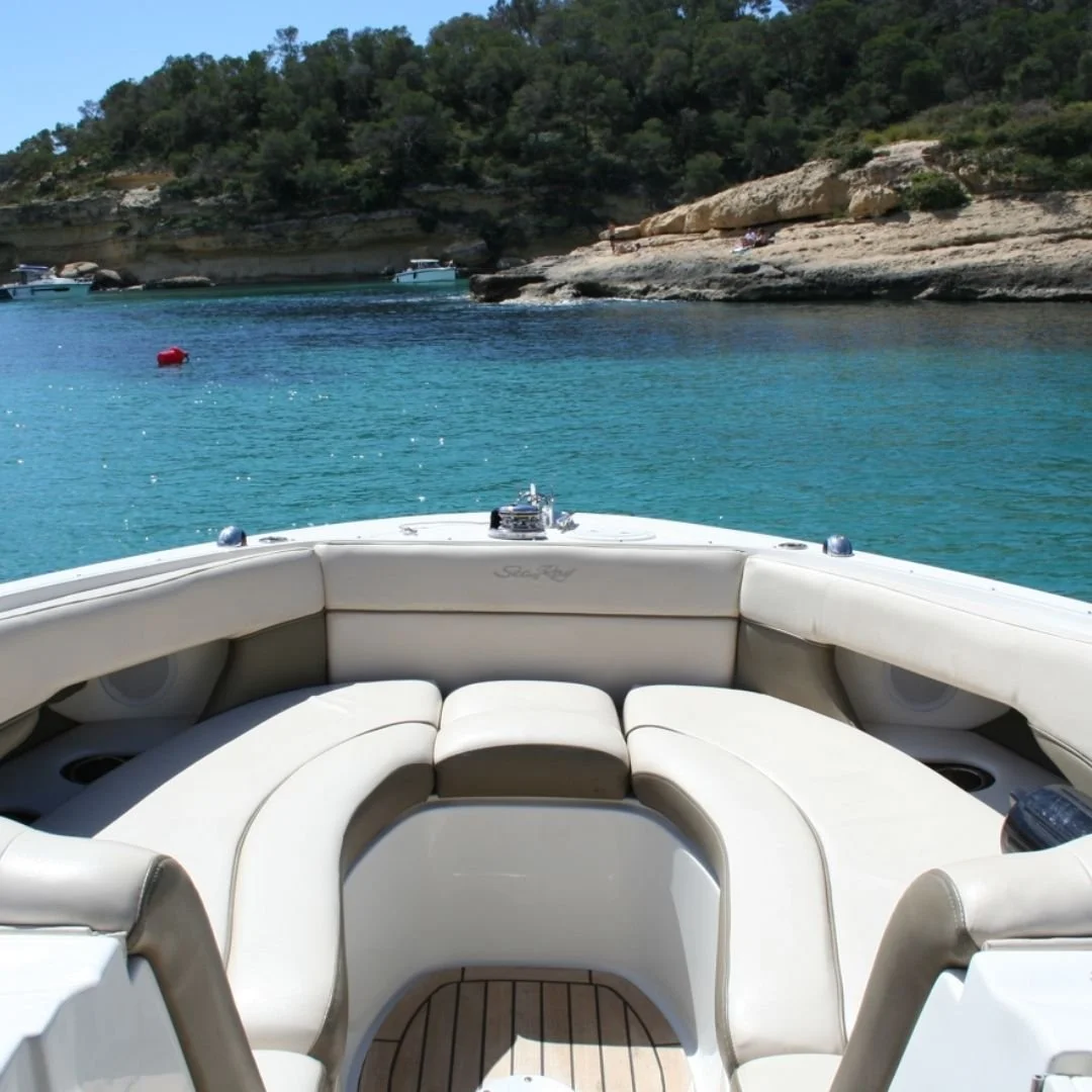Sea Ray 300 SLX