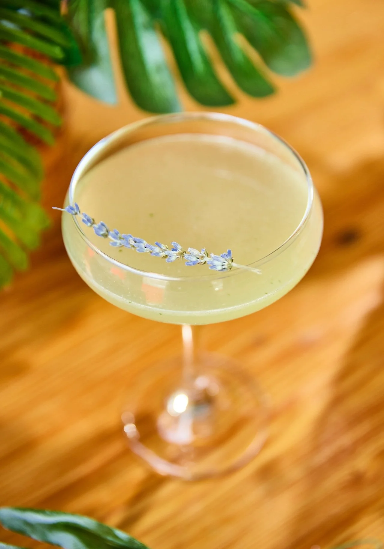 A cocktail in a coupe glass garnished with a sprig of lavender, with blurred green leaves and a wooden surface in the background.