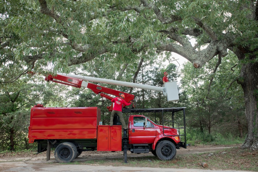 Big Red Tree Service