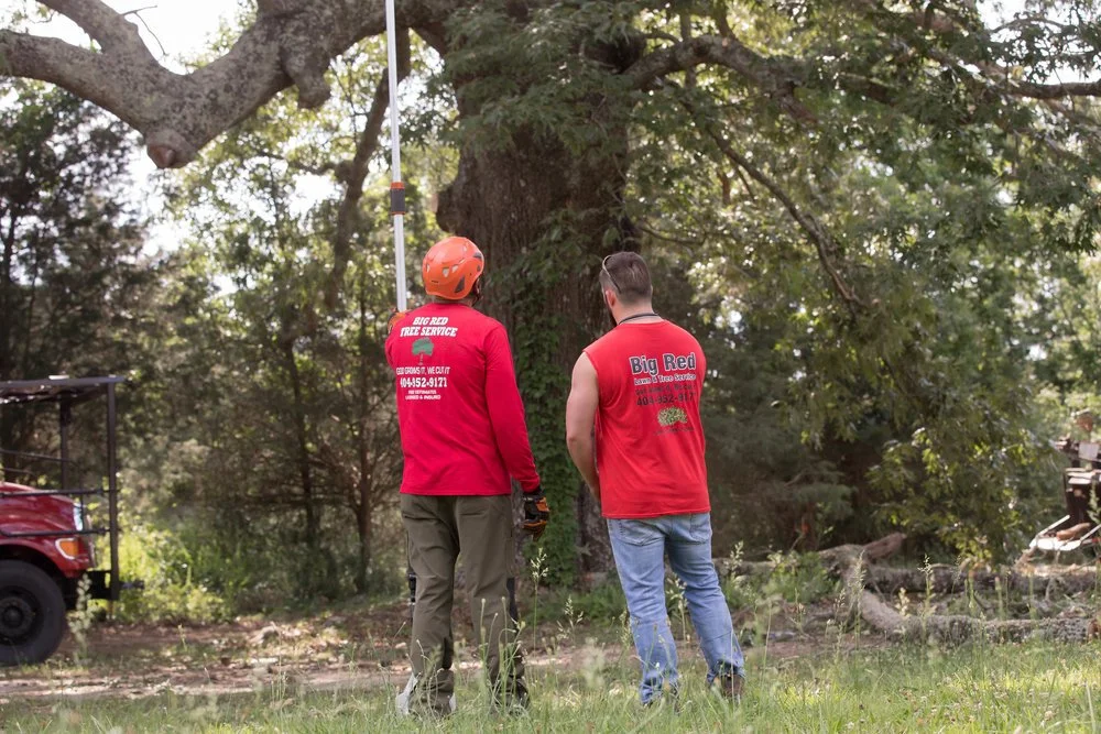 Big Red Tree Service