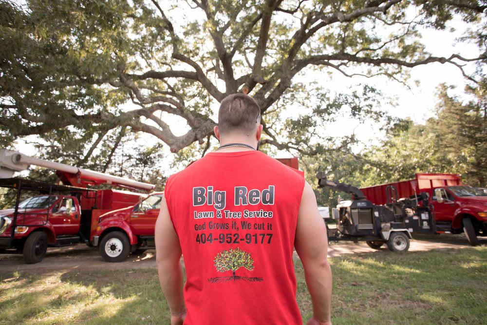 Big Red Tree Service