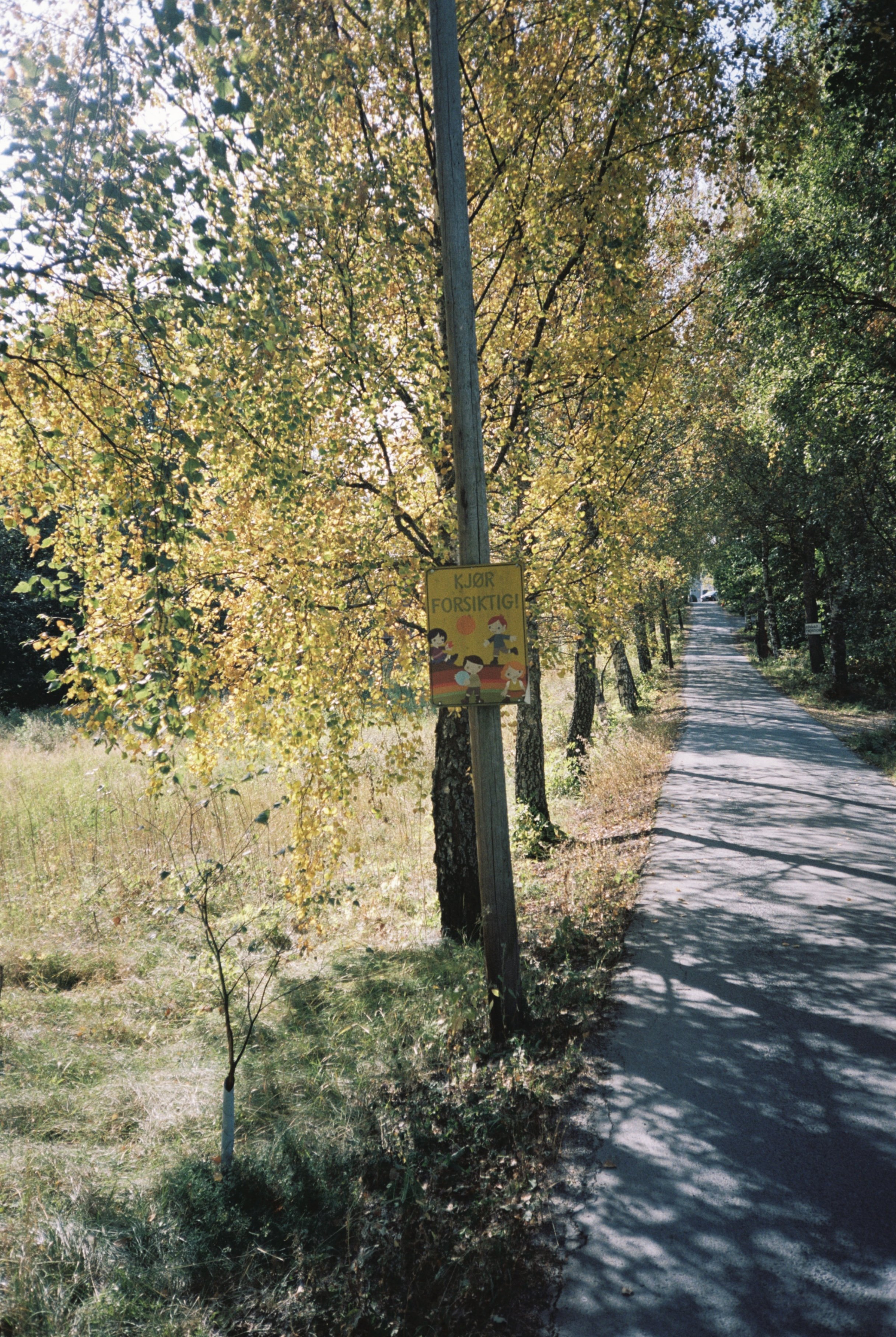 R1-09130-029A.jpg