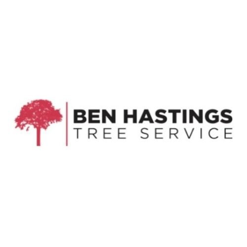 ben-hastings-tree-service.jpg