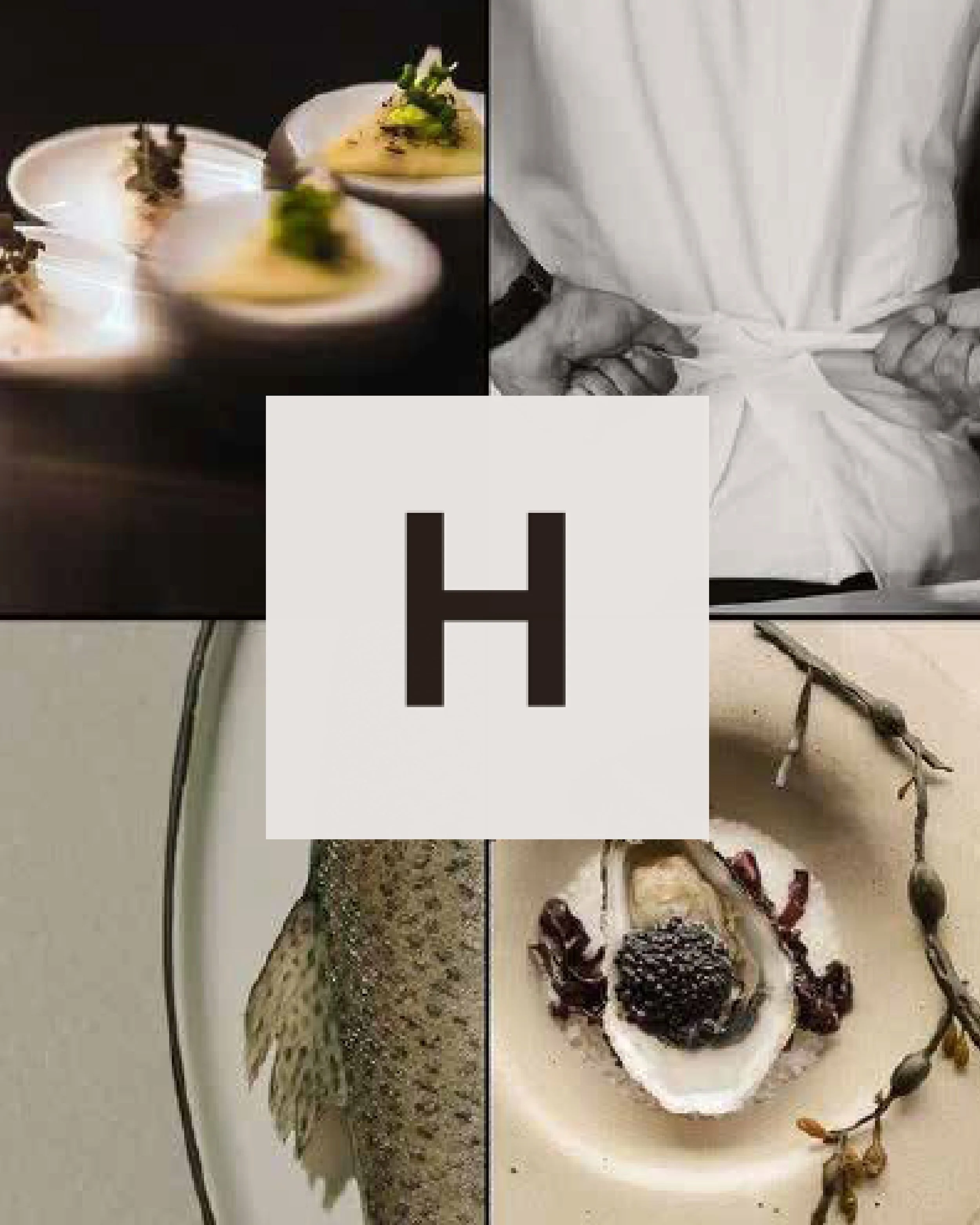 HYDRO HOTEL_BRAND DESIGN.jpg
