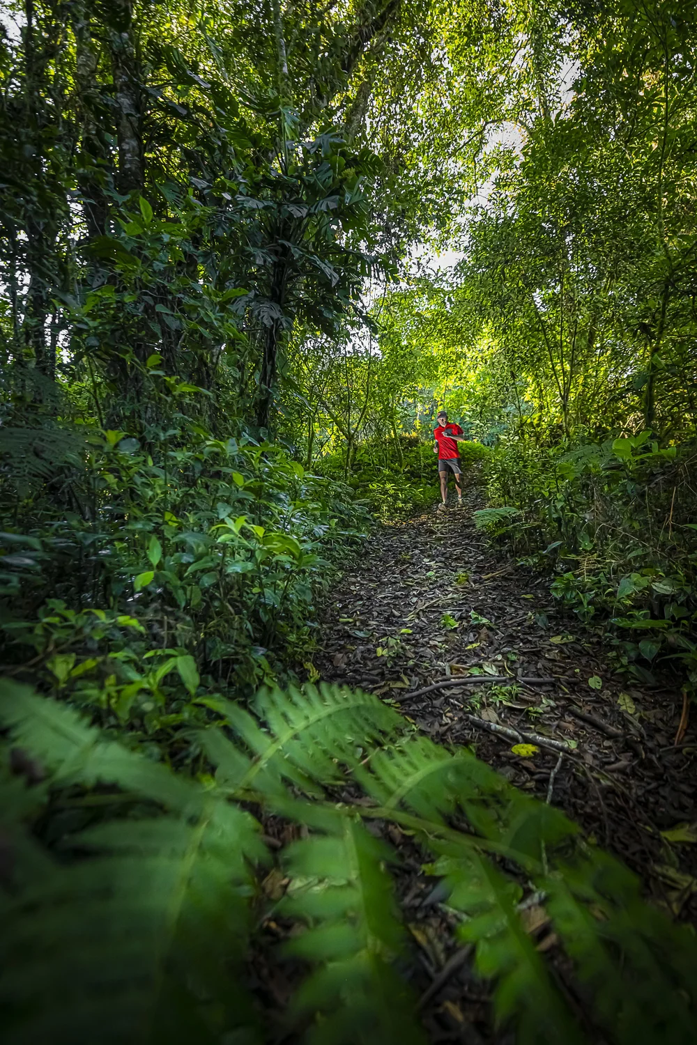 Trail runner in Costa Rica