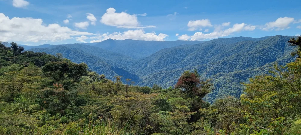 Tapantí National Park