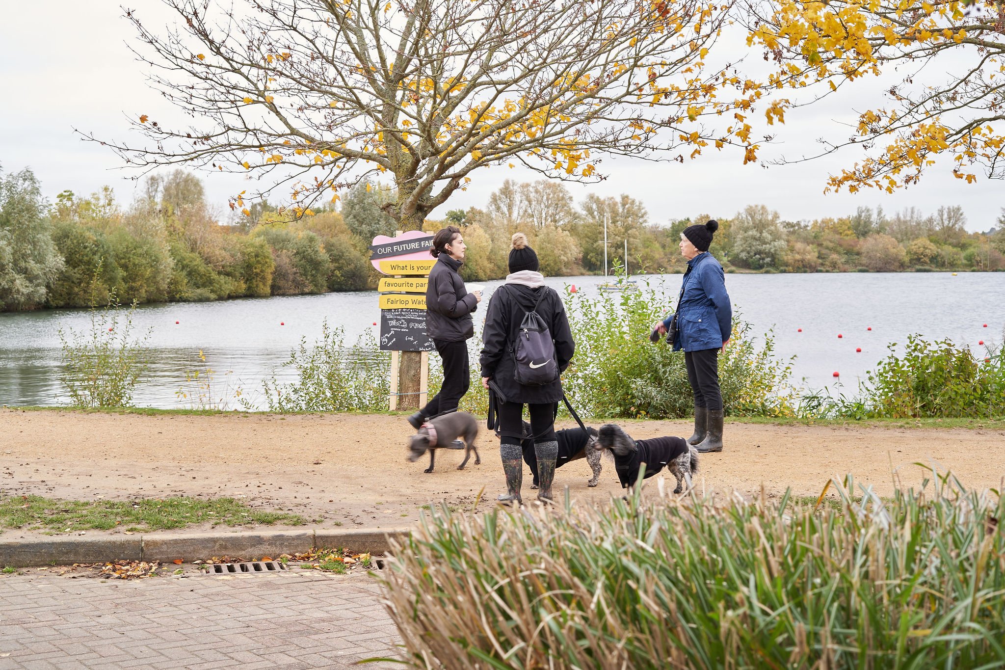 SSFairlop27.jpg