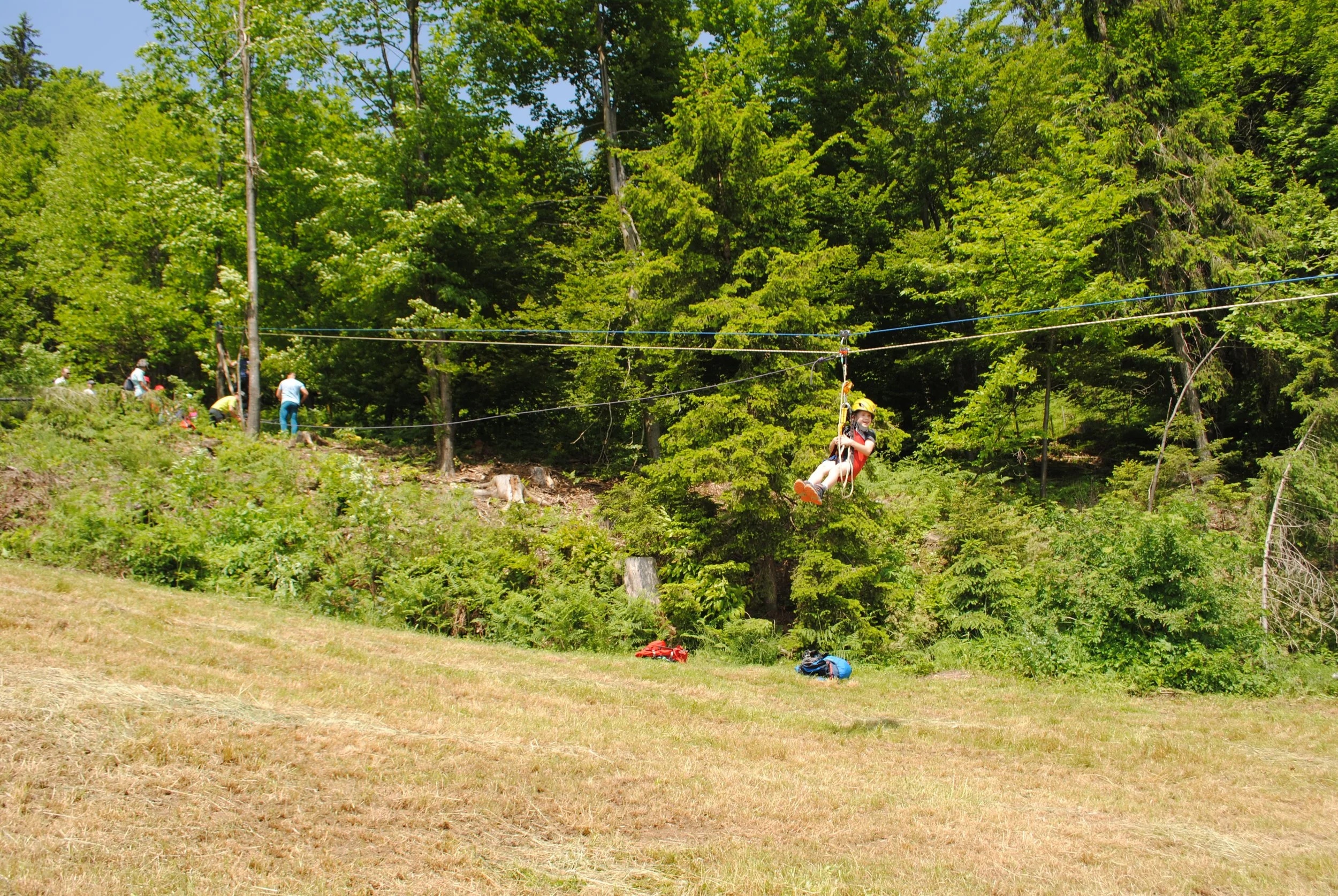 DSC_0602.JPG