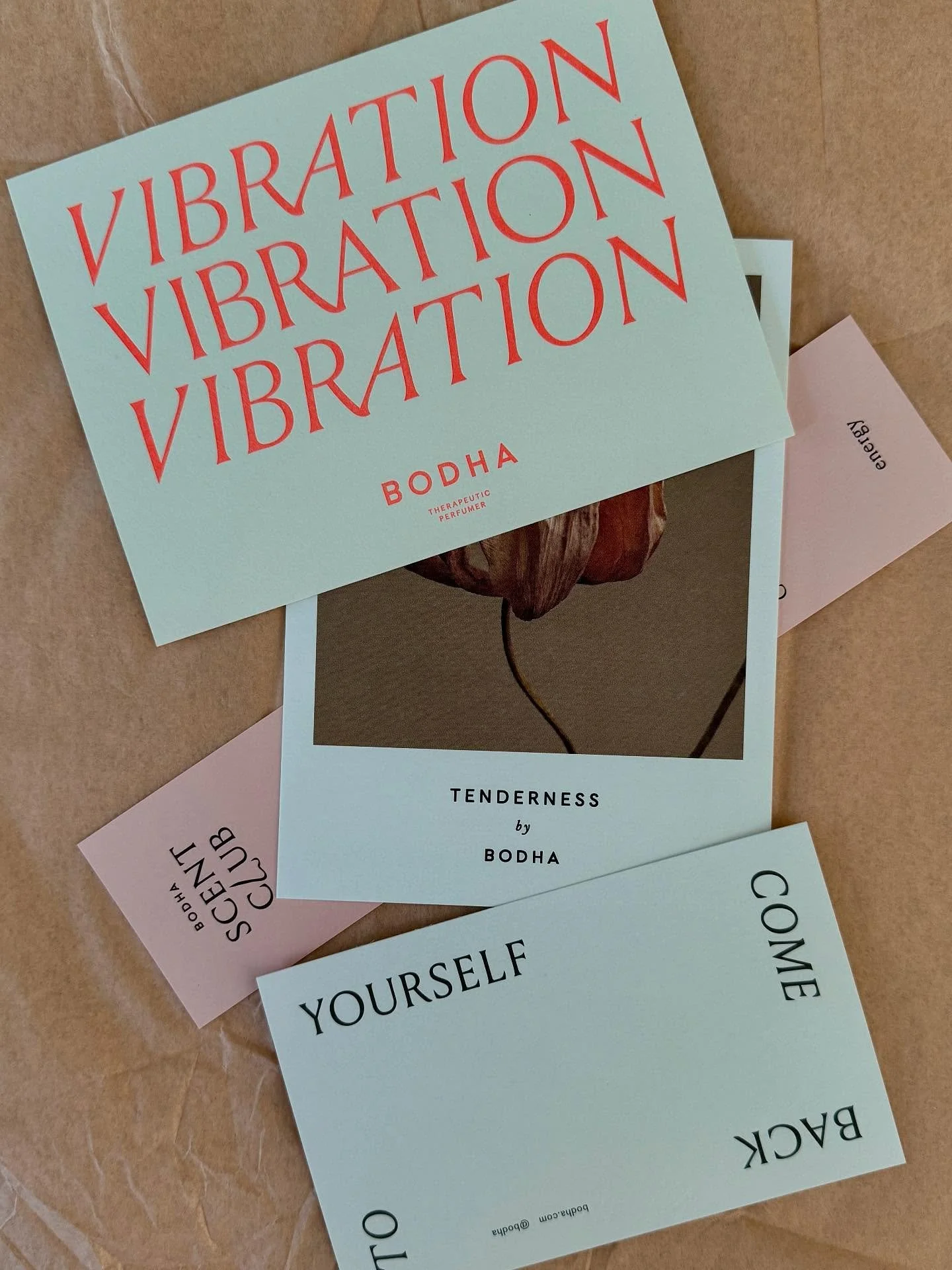 in addition to our sale on studio branded merch + grip socks&hellip; all BODHA products will be 15% at the PICTON NIGHT MARKET as well 🌺 

Grab your umbrellas friends ☔️ 

Hope to see you there!