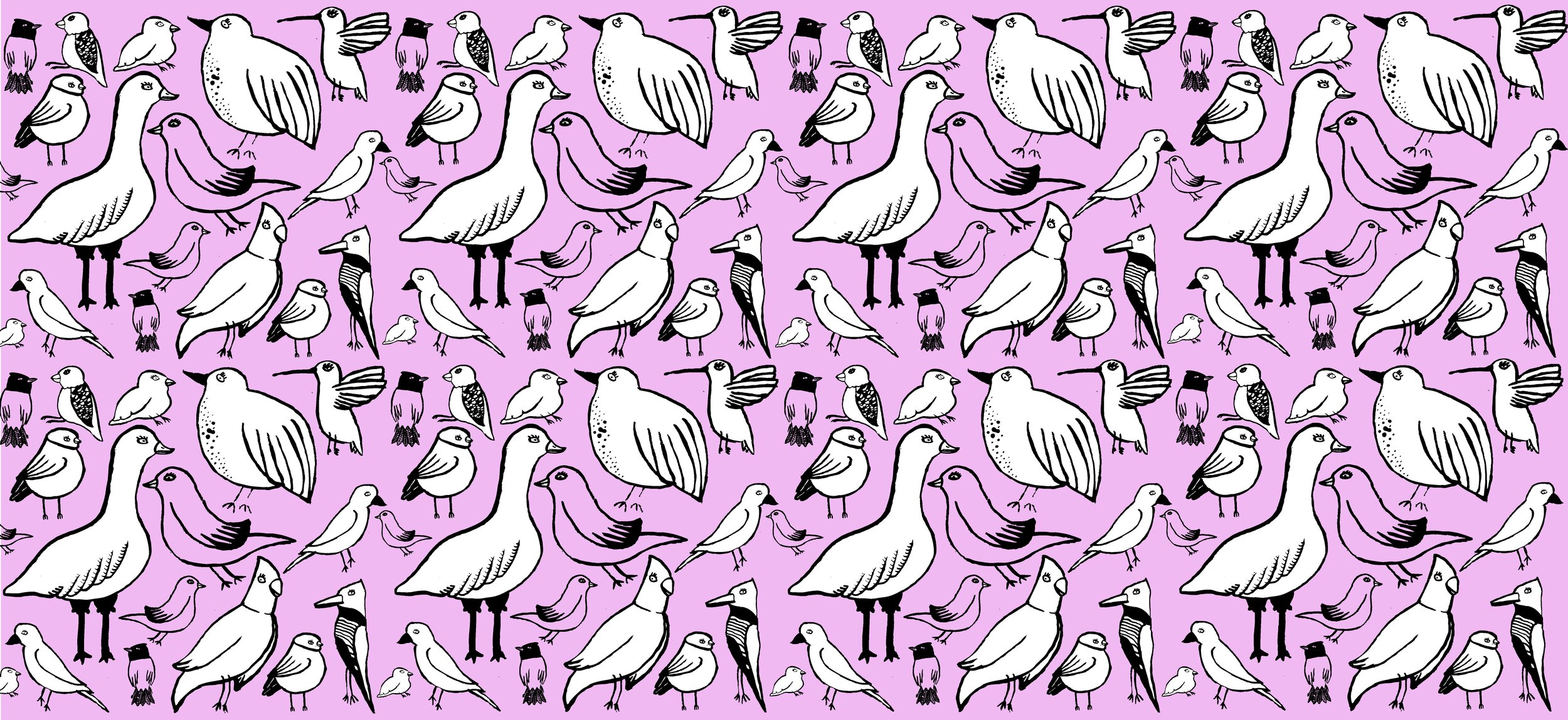 BirdsPattern.jpg