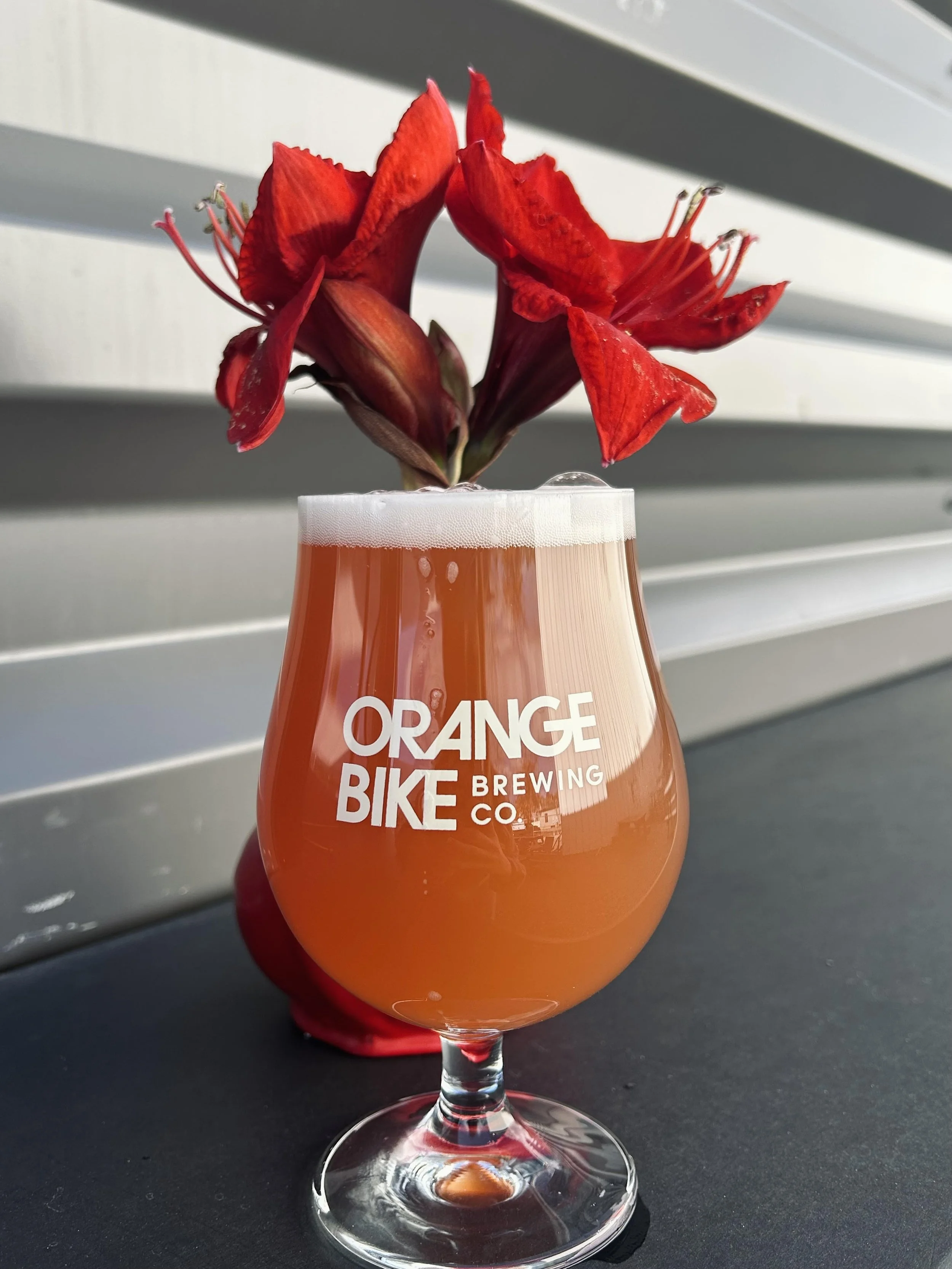 New Beer Release - Strawberry Sour 