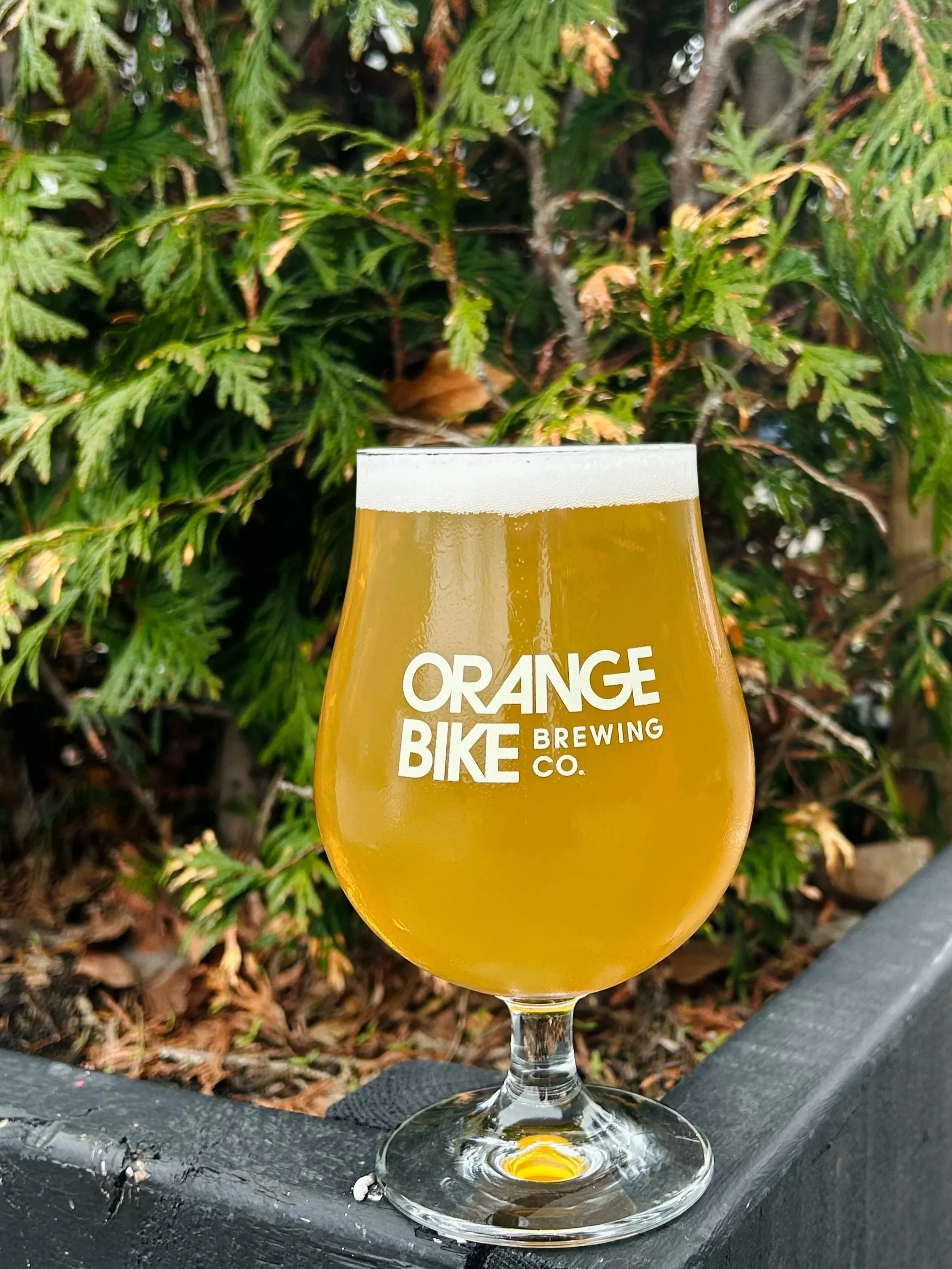 New Beer Release - Session IPA (Lemondrop)