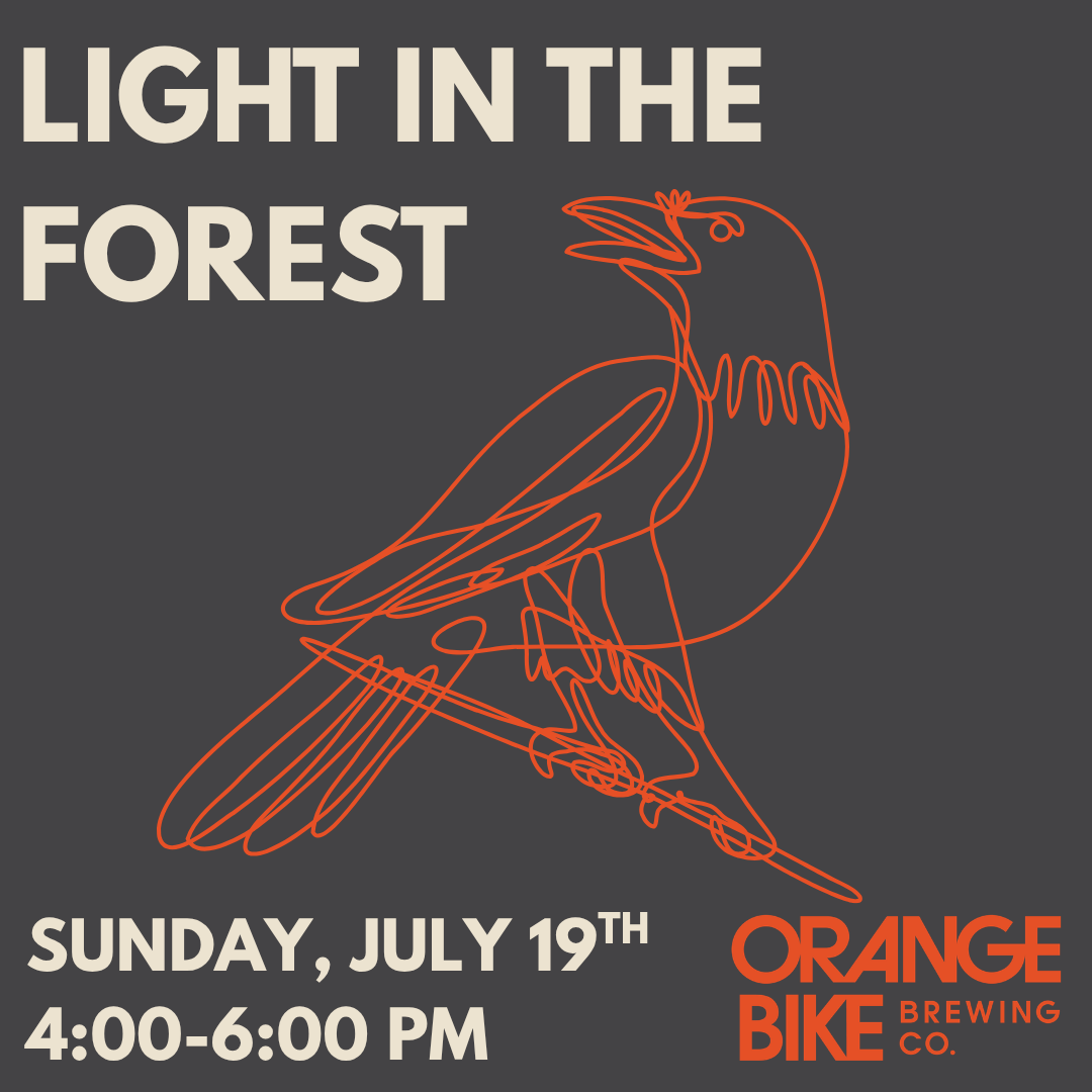 Live Music - Light In The Forest