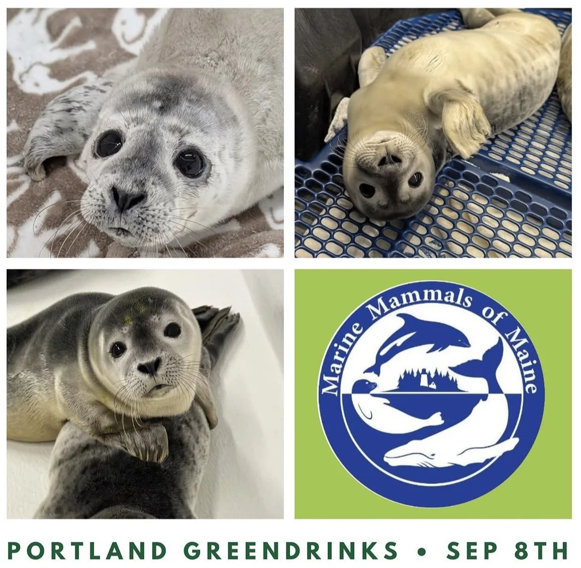 Greendrinks Pouring Event 