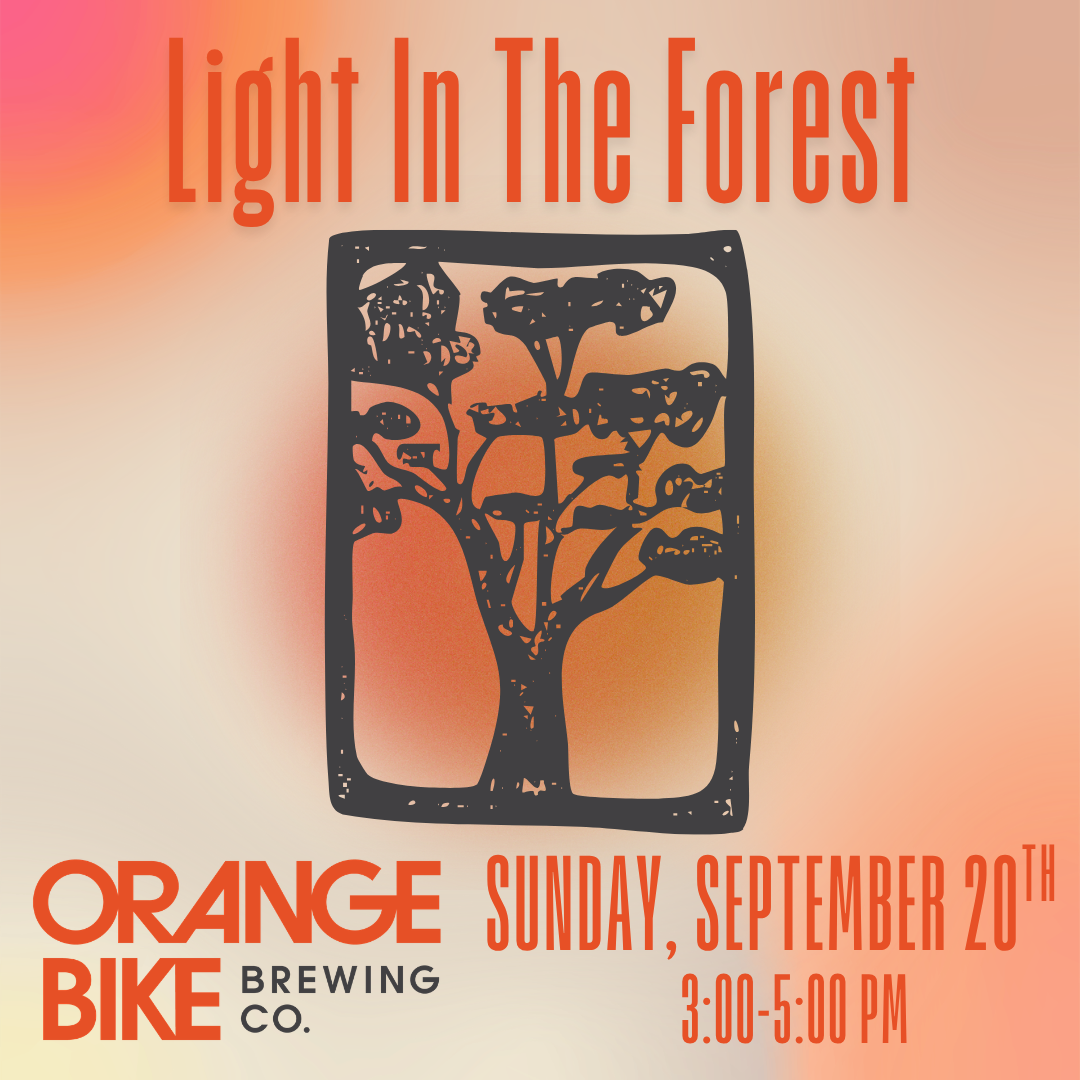 Live Music - Light In The Forest 