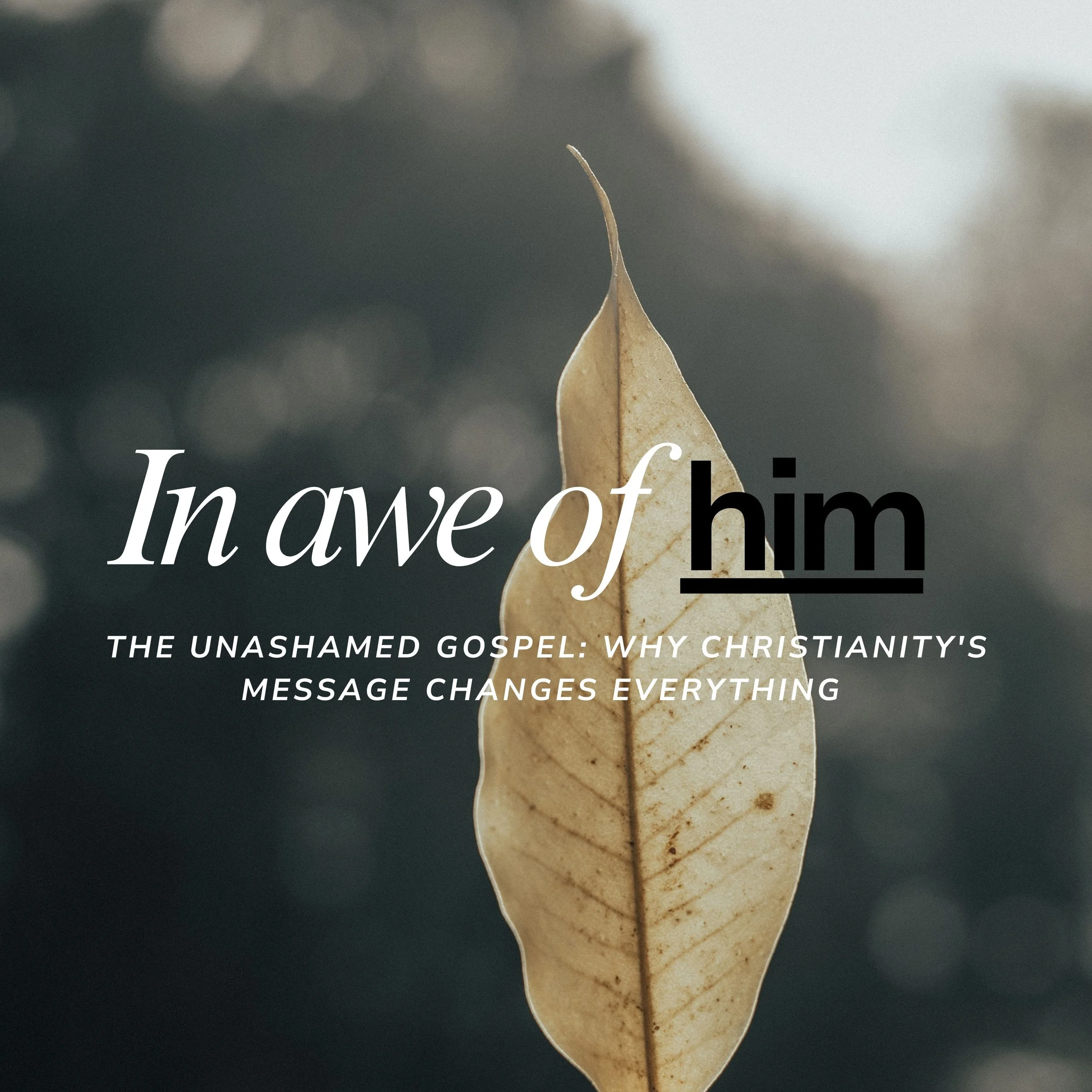 The Unashamed Gospel: Why Christianity's Message Changes Everything&nbsp;