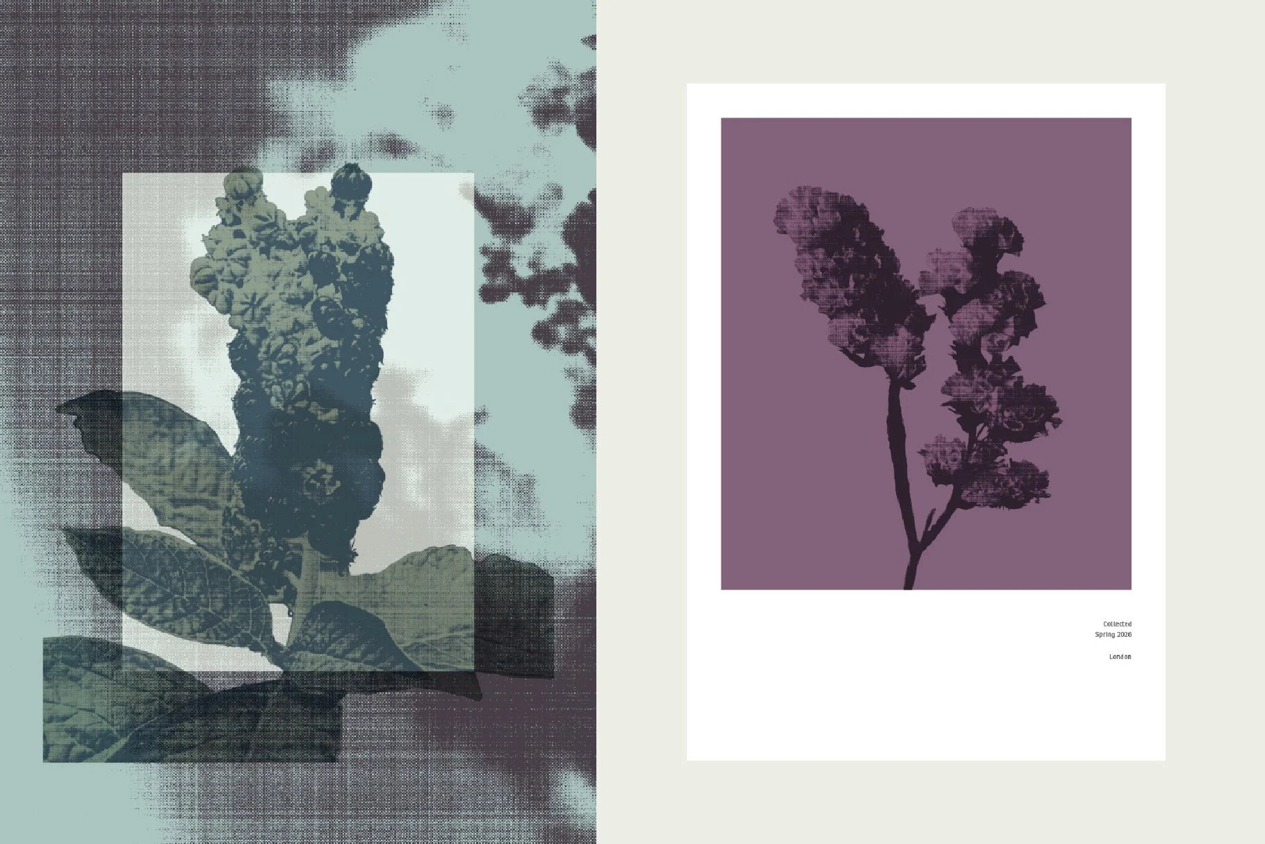 flowerEditiorial_preview-03.jpg