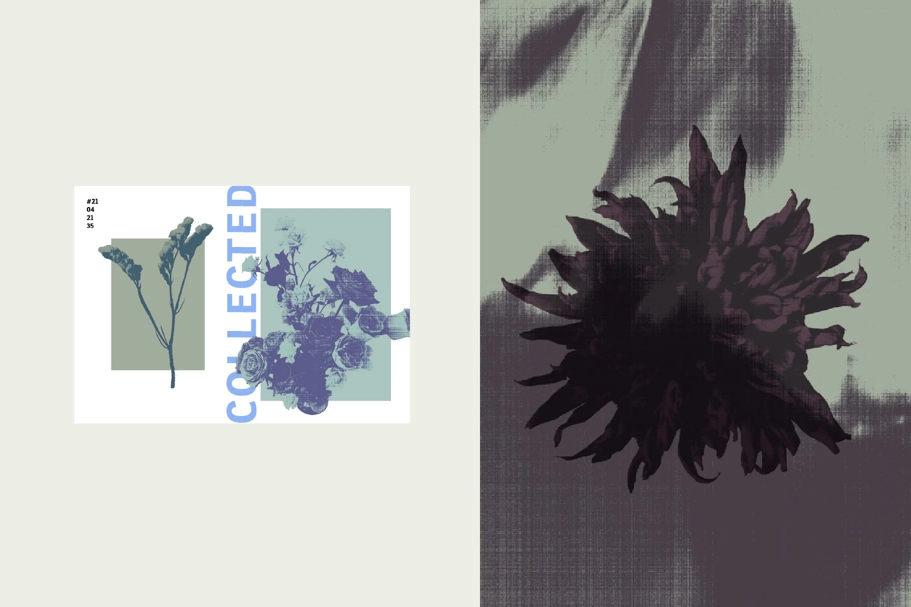 flowerEditiorial_preview-04.jpg