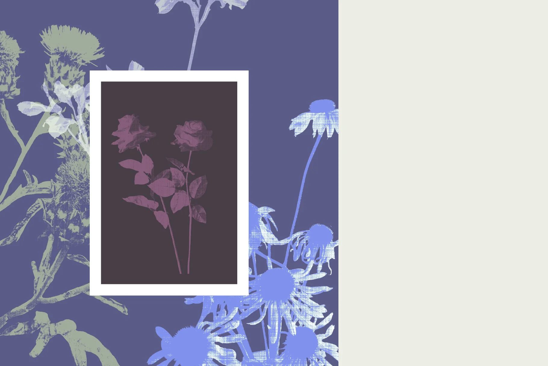 flowerEditiorial_preview-02.jpg