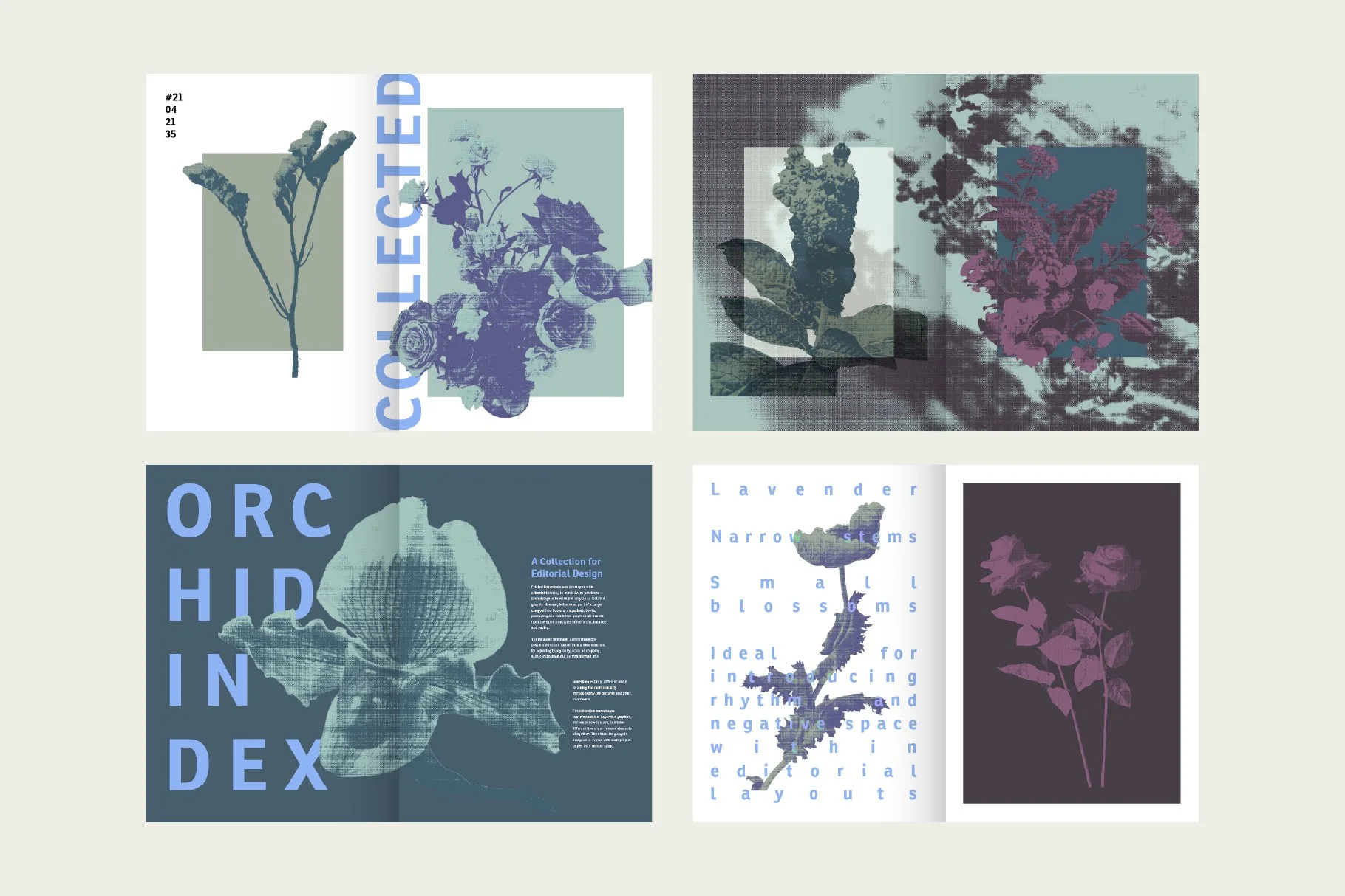 flowerEditiorial_preview-15.jpg