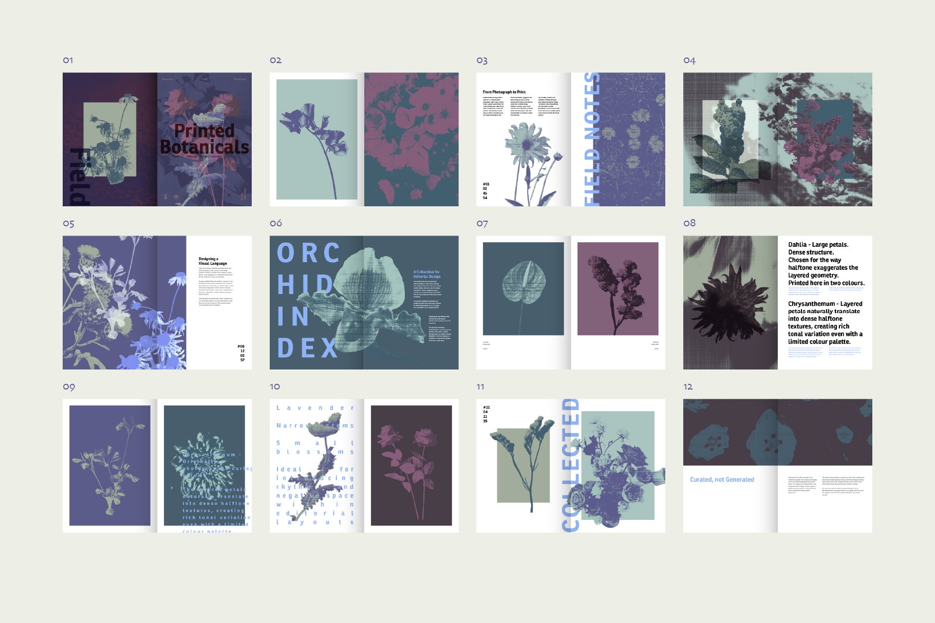 flowerEditiorial_preview-16.jpg