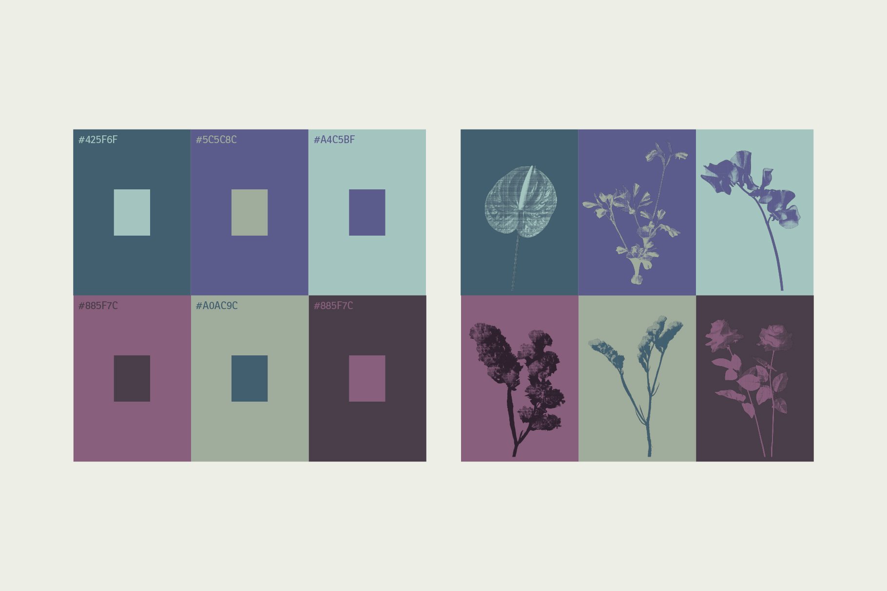flowerEditiorial_preview-10.jpg