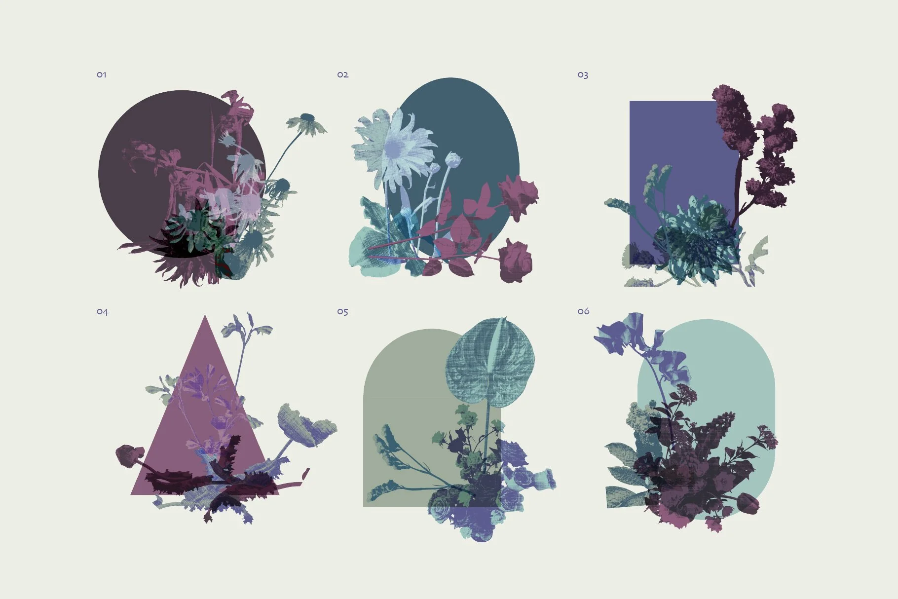flowerEditiorial_preview-13.jpg
