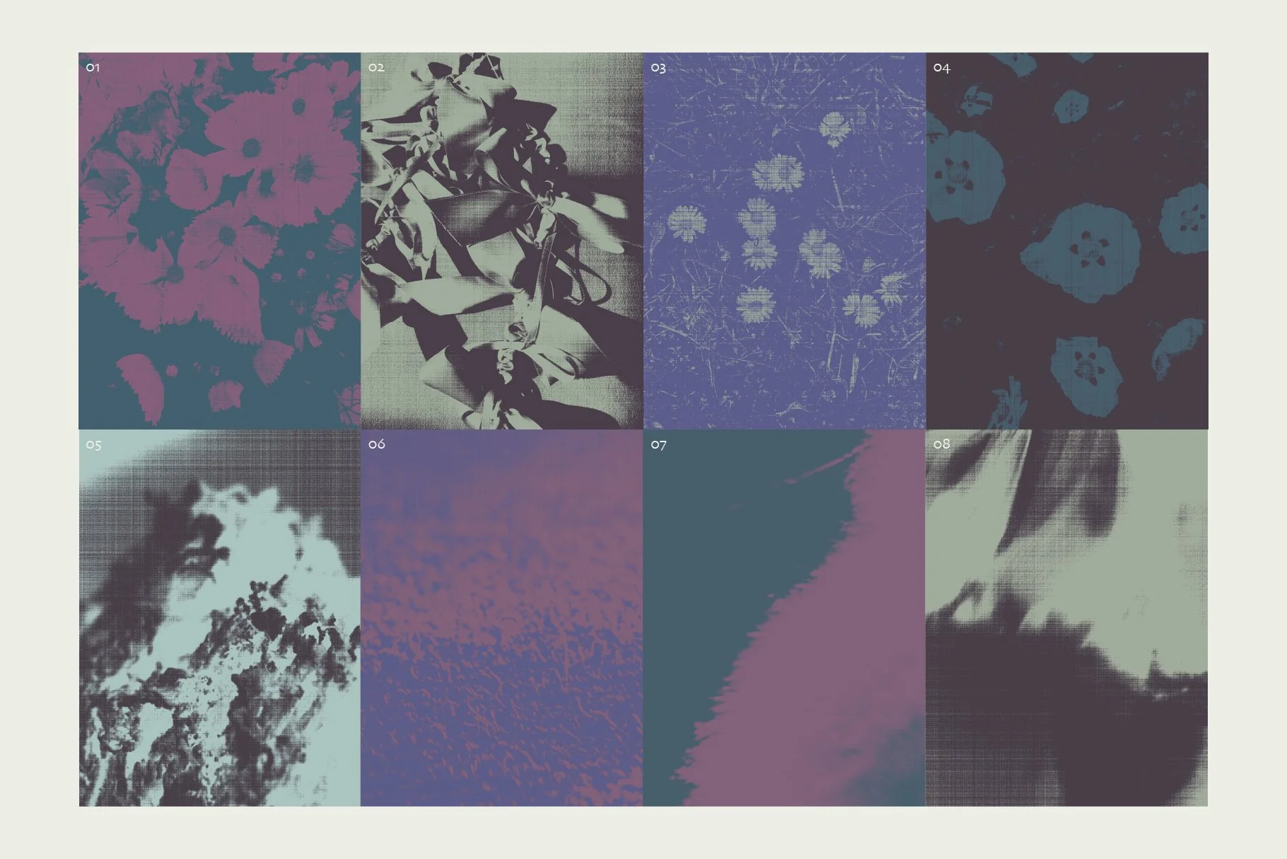 flowerEditiorial_preview-12.jpg