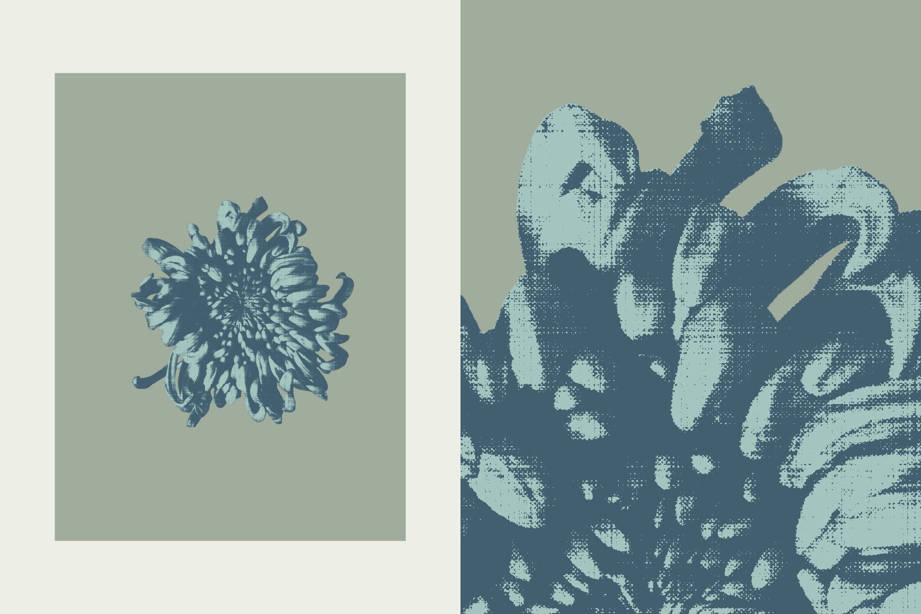 flowerEditiorial_preview-07.jpg