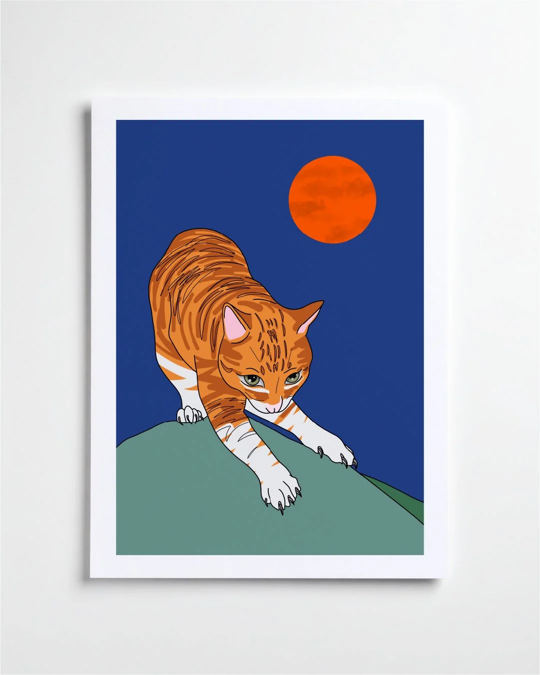 Round Head the Cat 1.jpg