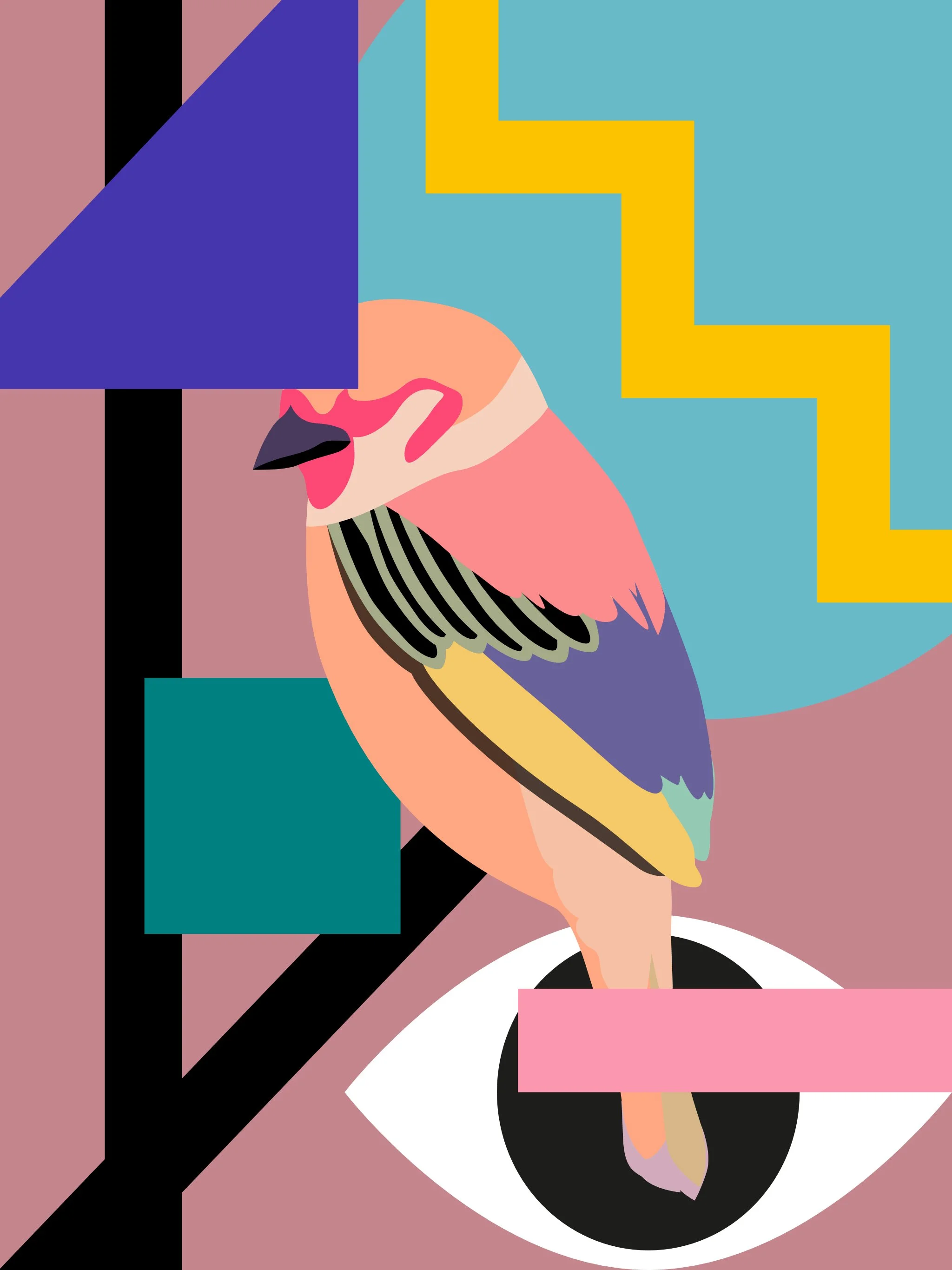 sparrowColourised.jpg