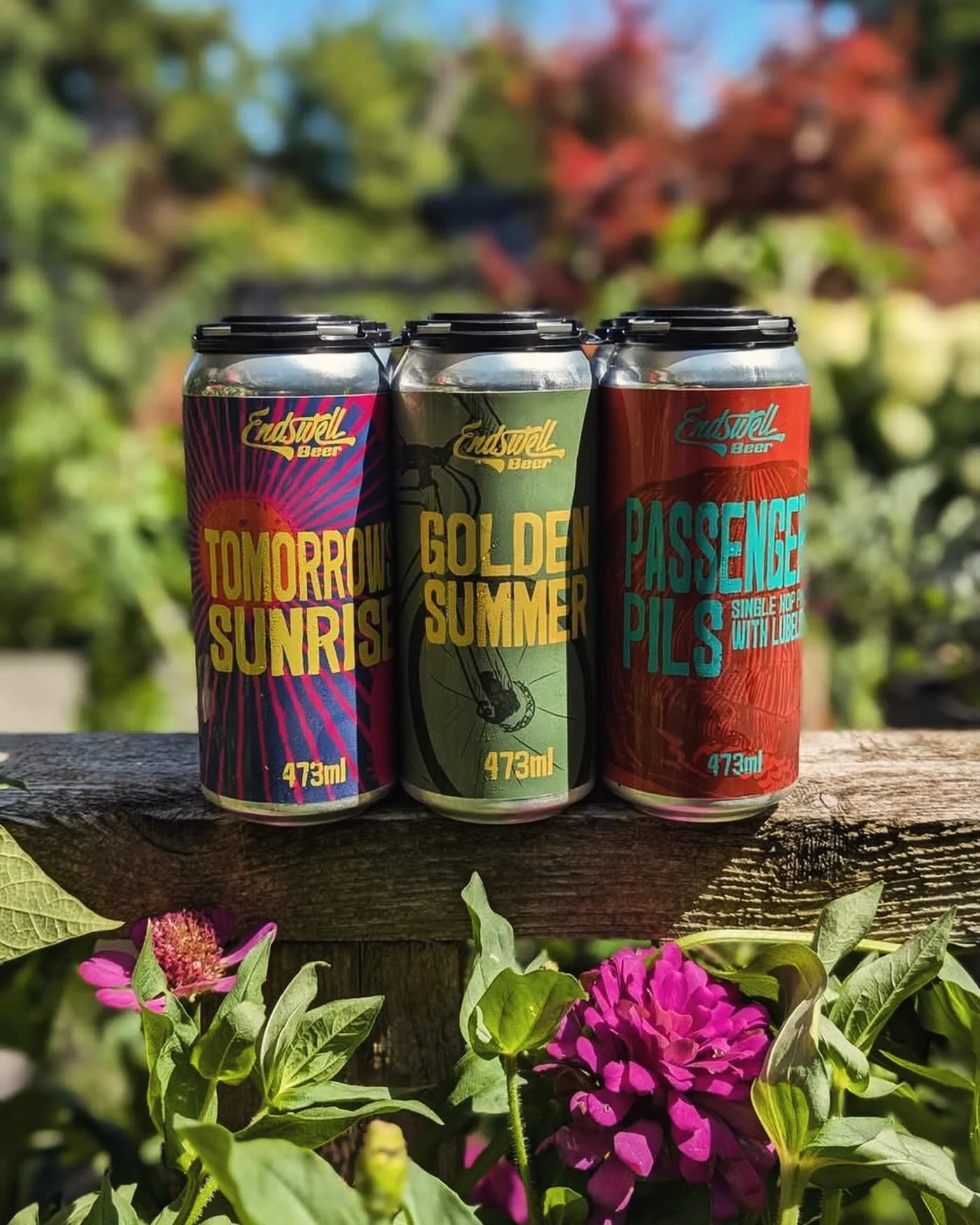 We love variety at Endswell! Cans are available to go in variety packs that we make, or you make yourself - all for the same price! 

Cans are always available in our &ldquo;FRESH TO GO&rdquo; fridge in the tap room. The selection is always changing,