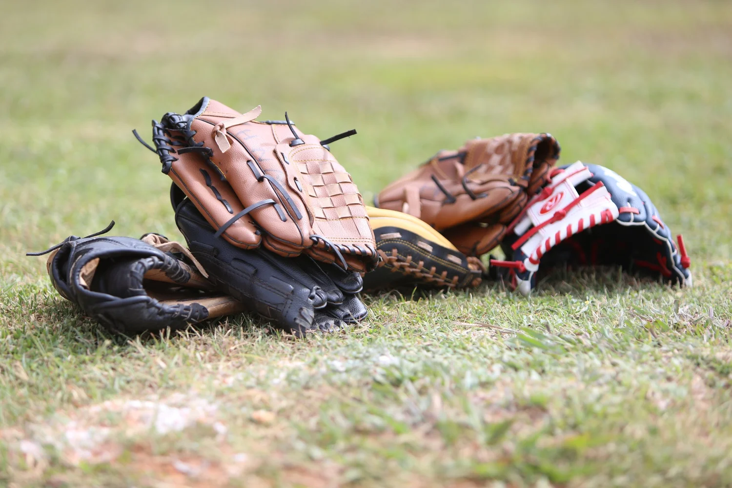 Membership Subscriptions — South Florida Heaters Baseball Academy