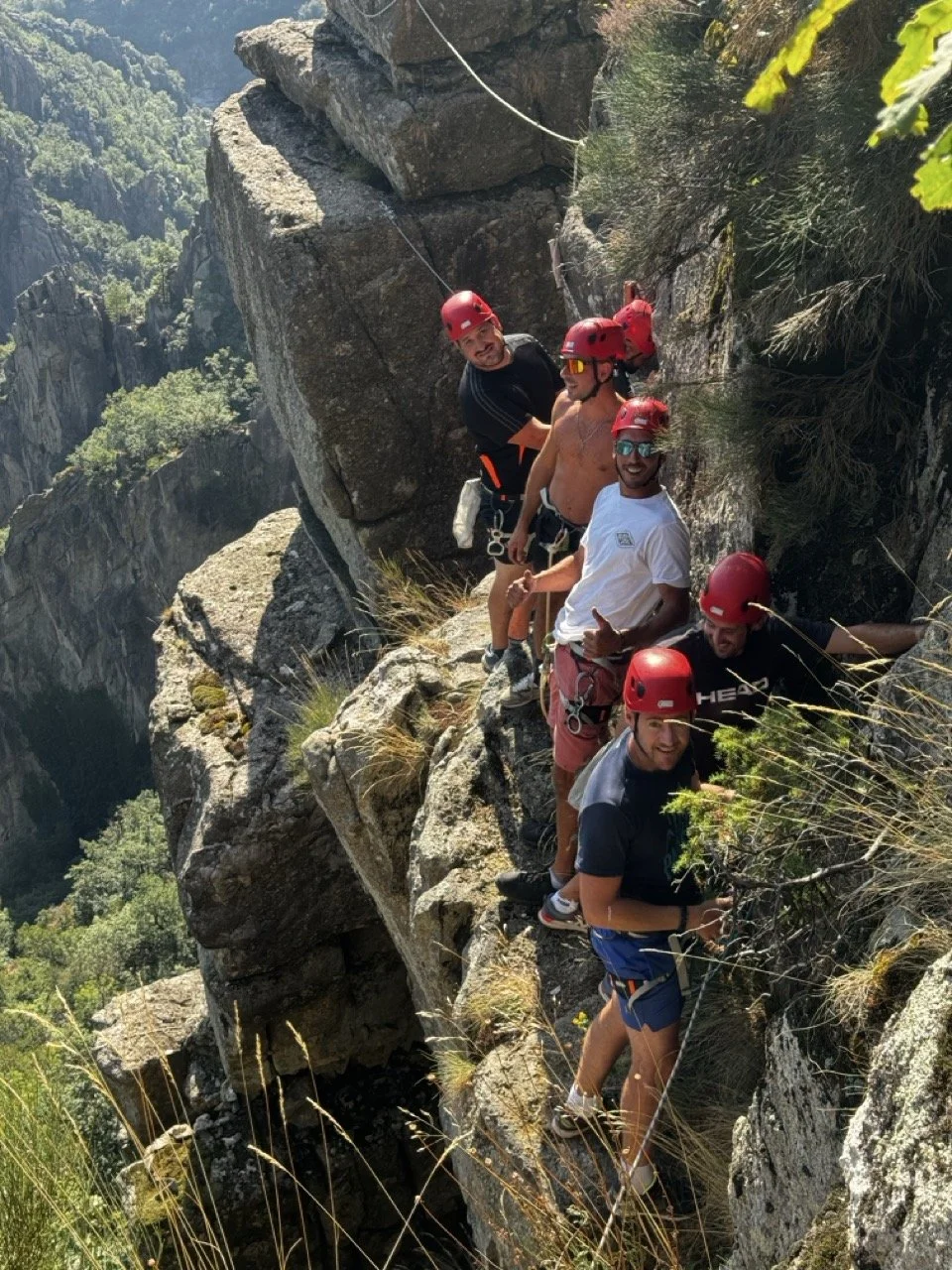 Pont de singe à la via-corda du Balcon du Chassezac