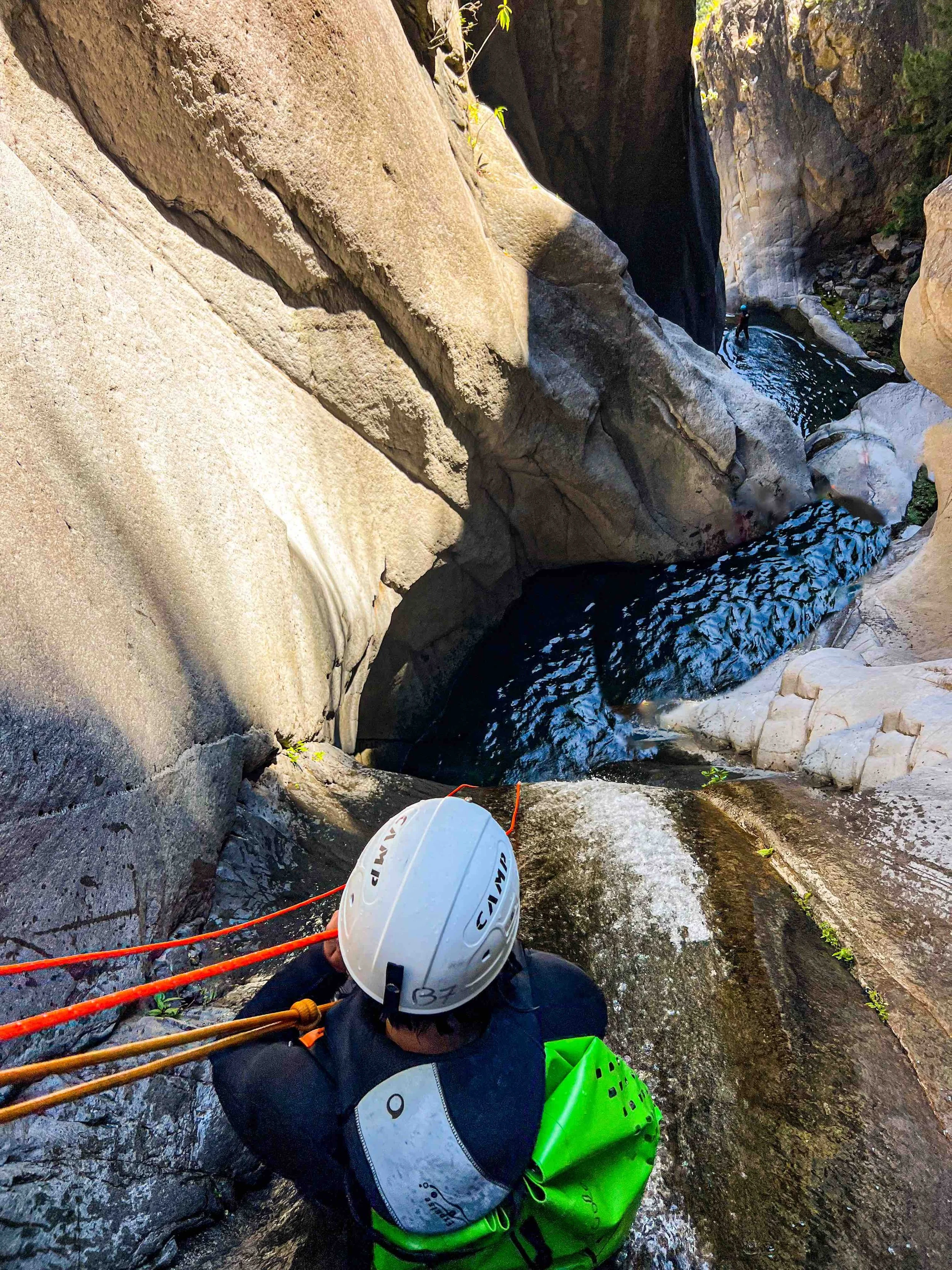 Fleur jaune OPT 2.jpg