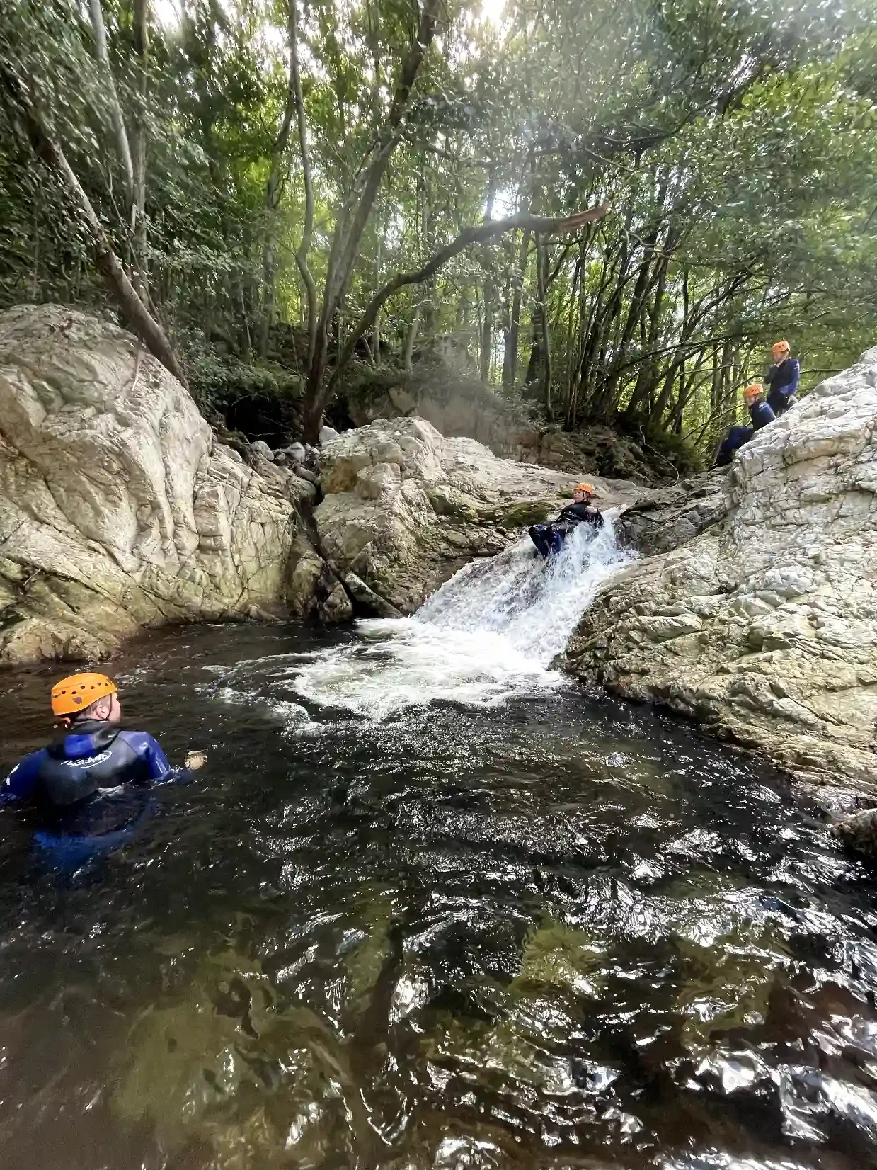 toboggans d'ardeche.webp
