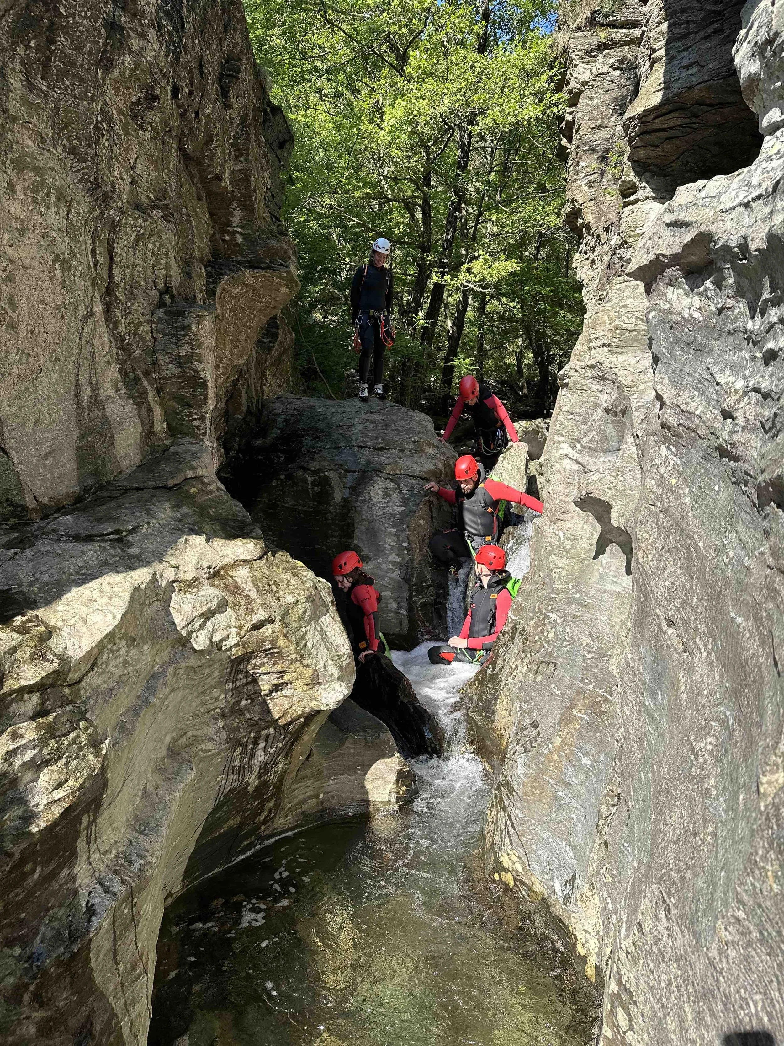 Groupe de personnes pratiquant la canyoning dans une gorge rocheuse avec des eaux claires et entourée d'arbres.
