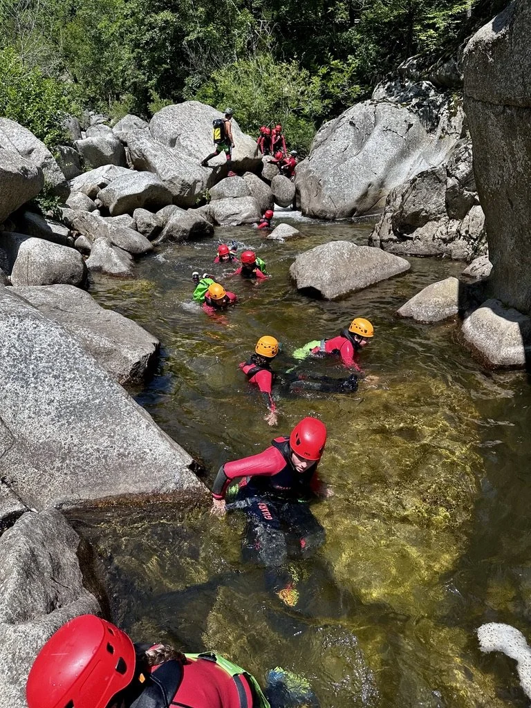 E07E7B3E-FF95-4AB2-8247-6DE37C5C5684_1_105_c.jpeg