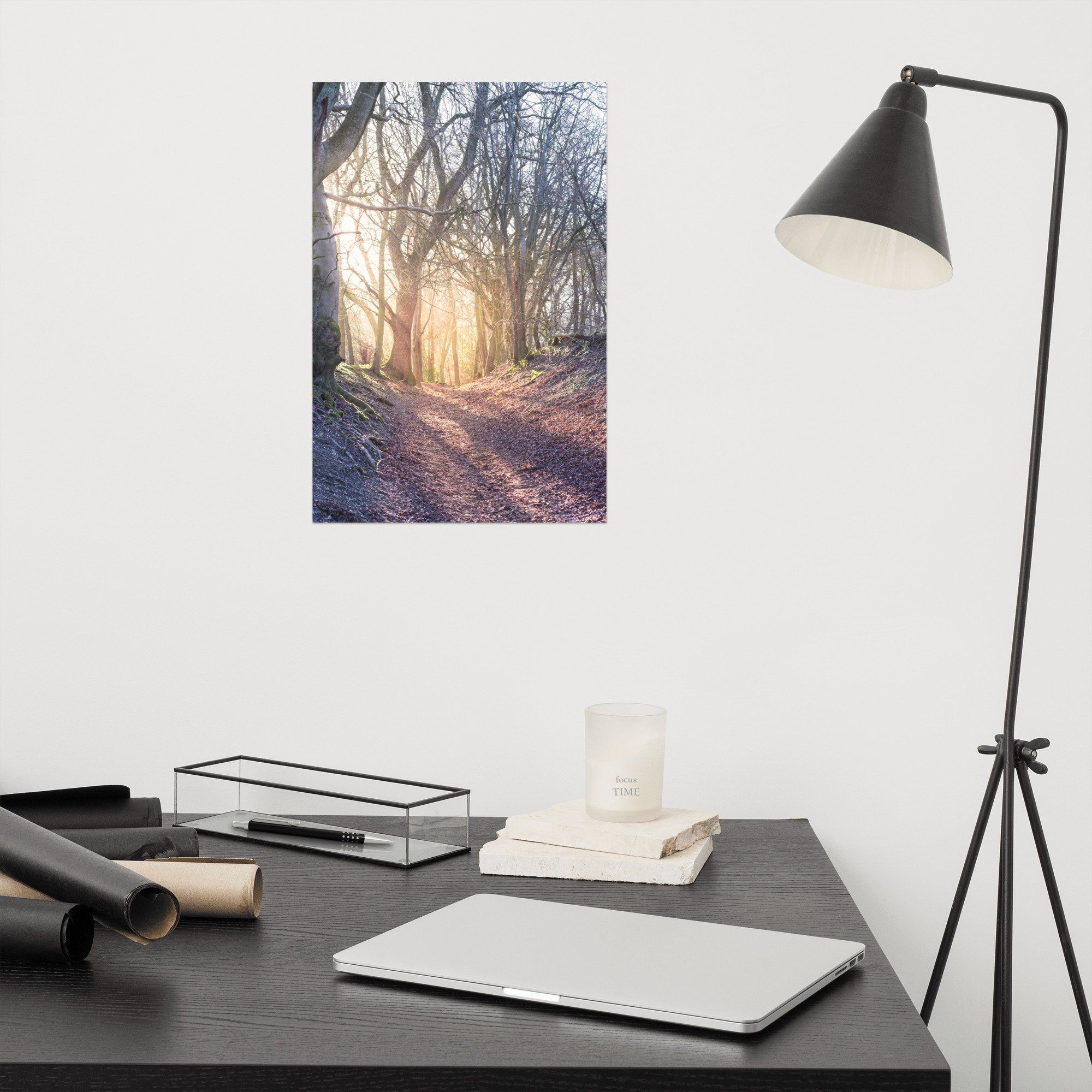 enhanced-matte-paper-poster-(in)-12x18-front-63ca66dd8eb5e.jpg