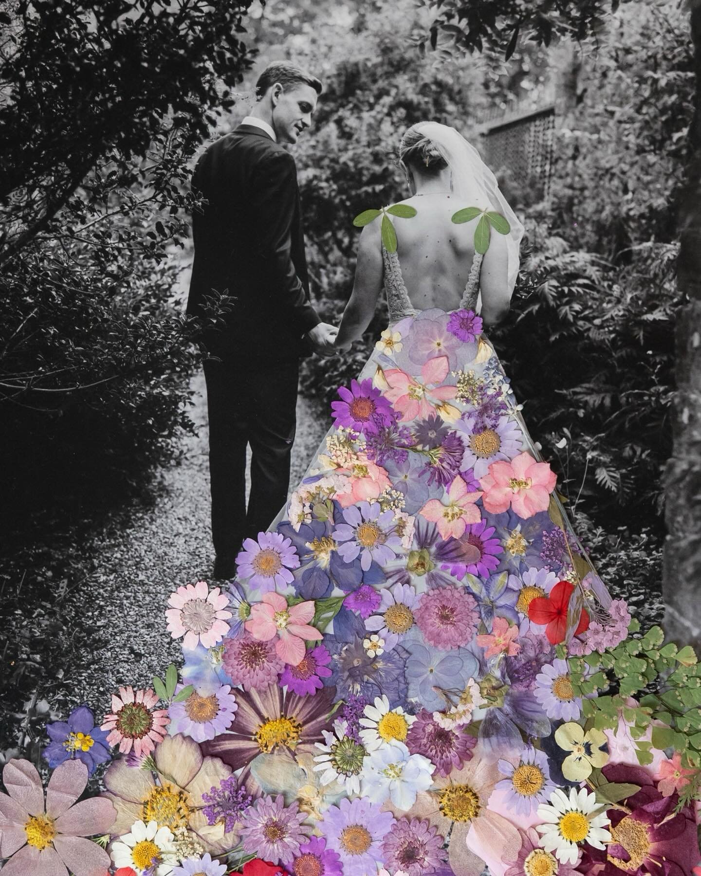 Julia + Mark: reimagined with flowers 🦋 A collage thing I wanted to try for ages, just for fun! I loved doing it, so if I&rsquo;m feeling brave, I might share some more. 💭